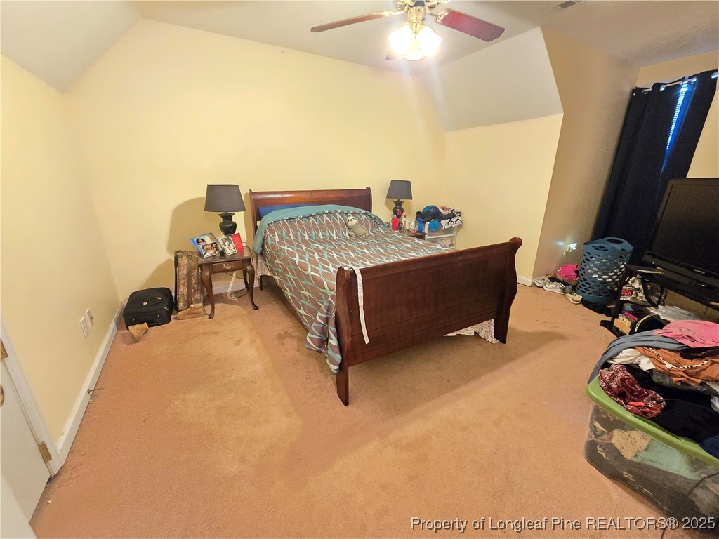 216 Chesters Road Roseboro, NC 28382 - Photo 25 of 37 Gallery Image 25