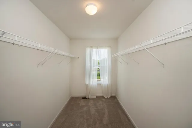 a view of a chandelier fan and closet in a room