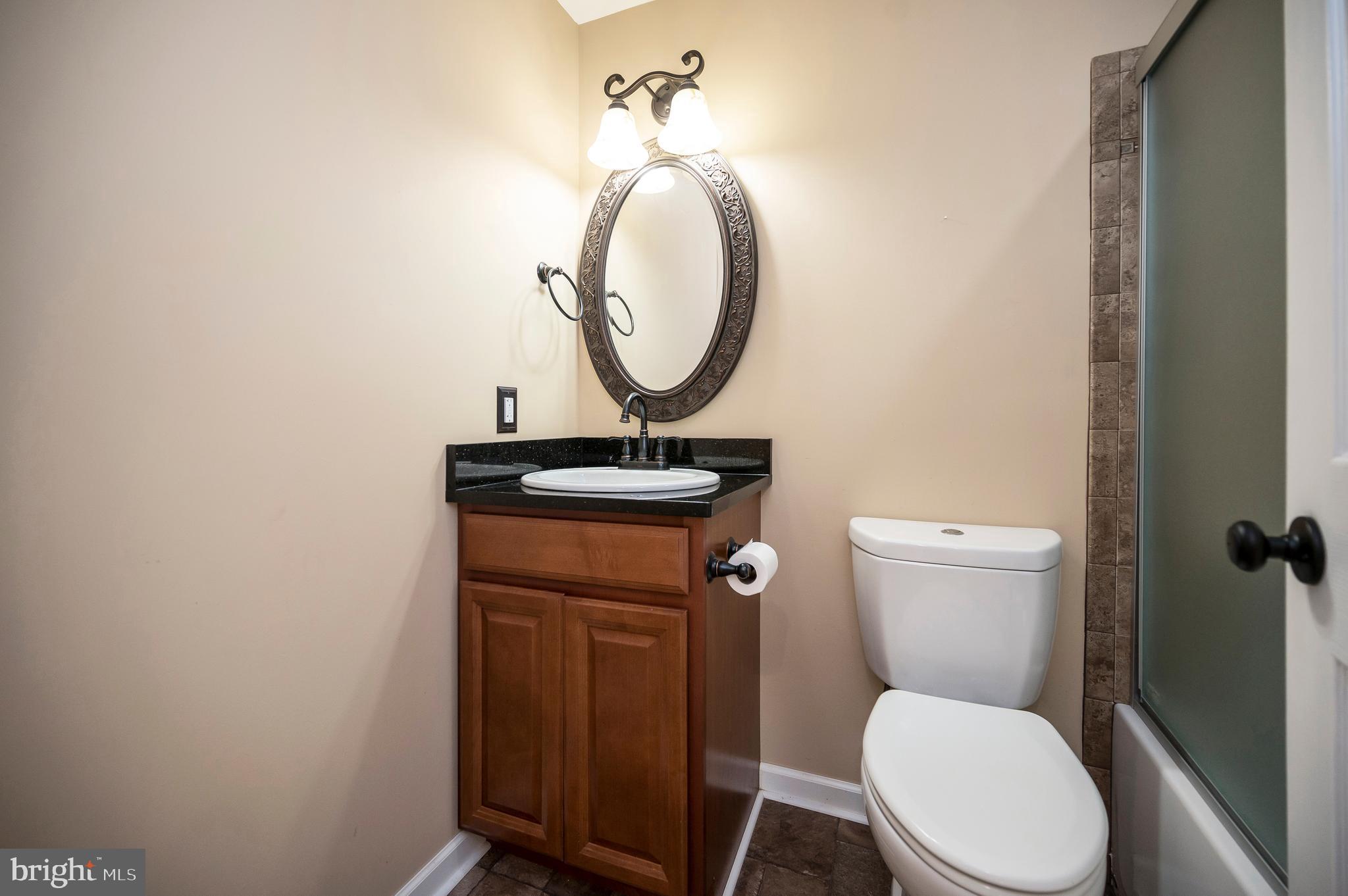 3308 Boathouse Road Warrenton, VA 20187 - Photo 42 of 59 a bathroom with a toilet a sink and a mirror