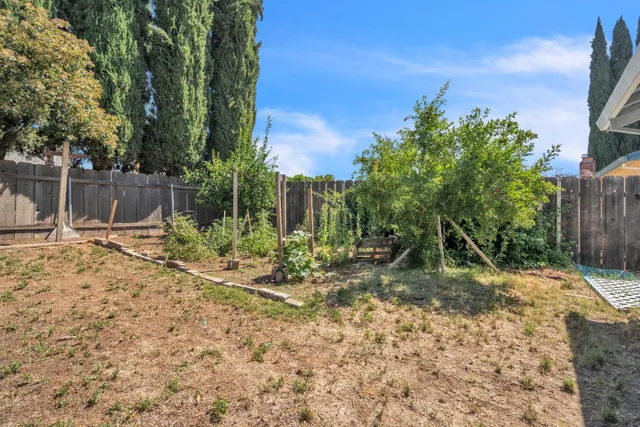 a view of a yard with plants and trees