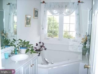 34 Donovan Road Pennington, NJ 08534 - Photo 4 of 6 Gallery Image 4