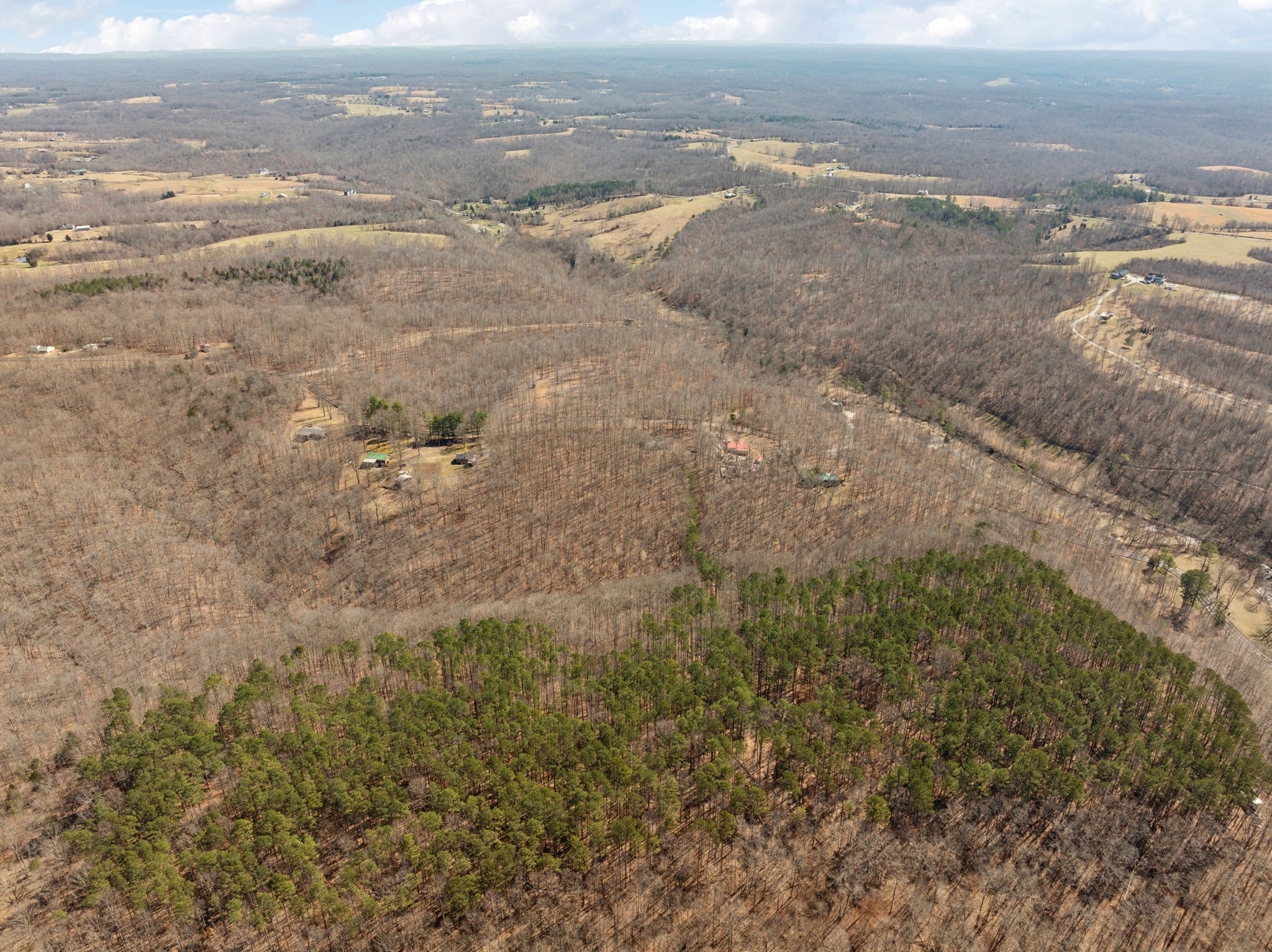 7822 Barnhill Road Primm Springs, TN 38476 - Photo 11 of 22