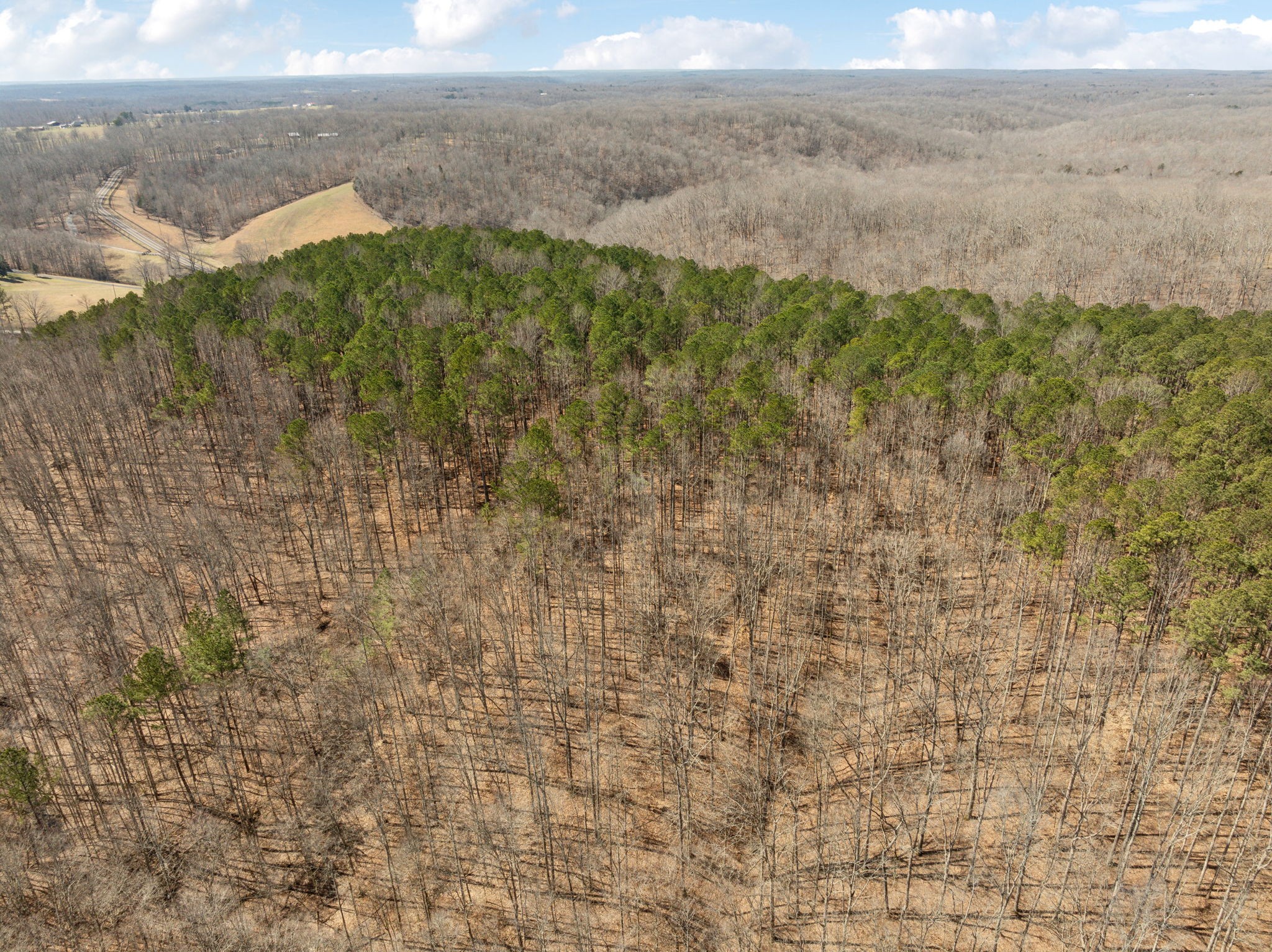 7822 Barnhill Road Primm Springs, TN 38476 - Photo 12 of 22