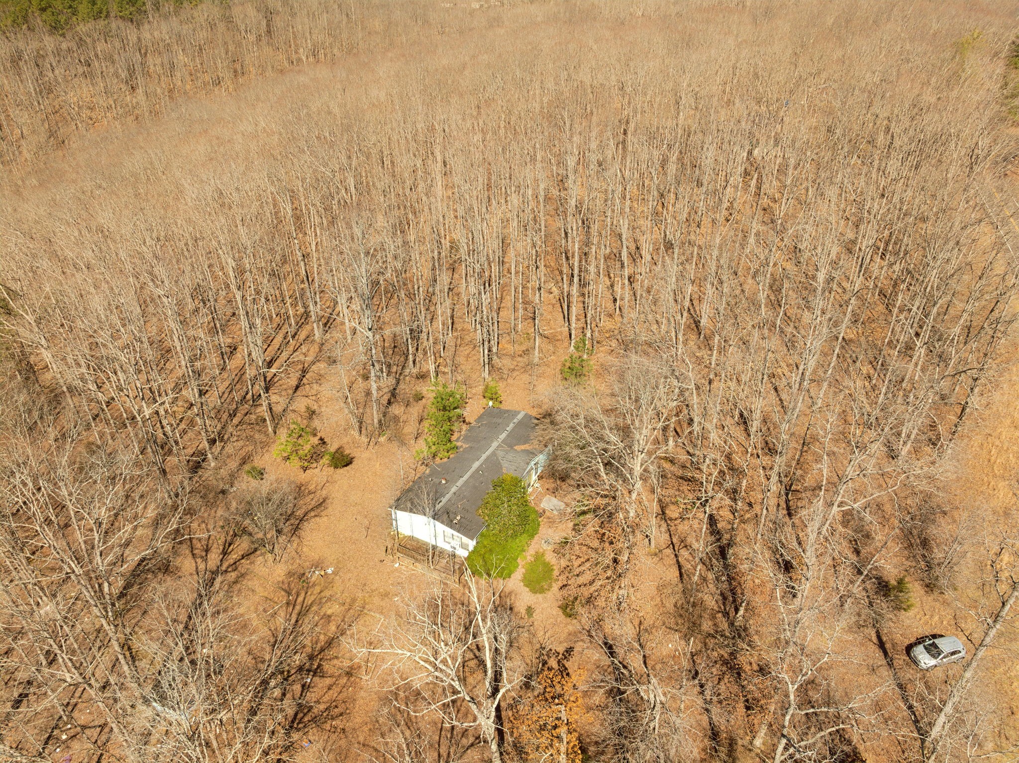 7822 Barnhill Road Primm Springs, TN 38476 - Photo 15 of 22