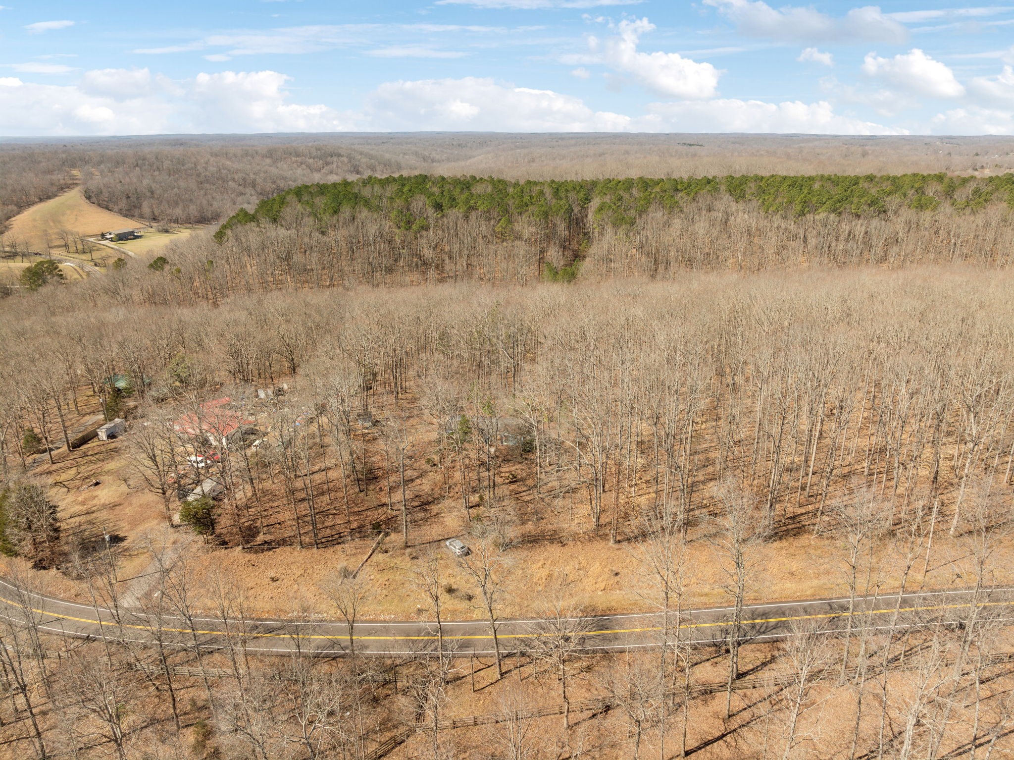 7822 Barnhill Road Primm Springs, TN 38476 - Photo 16 of 22