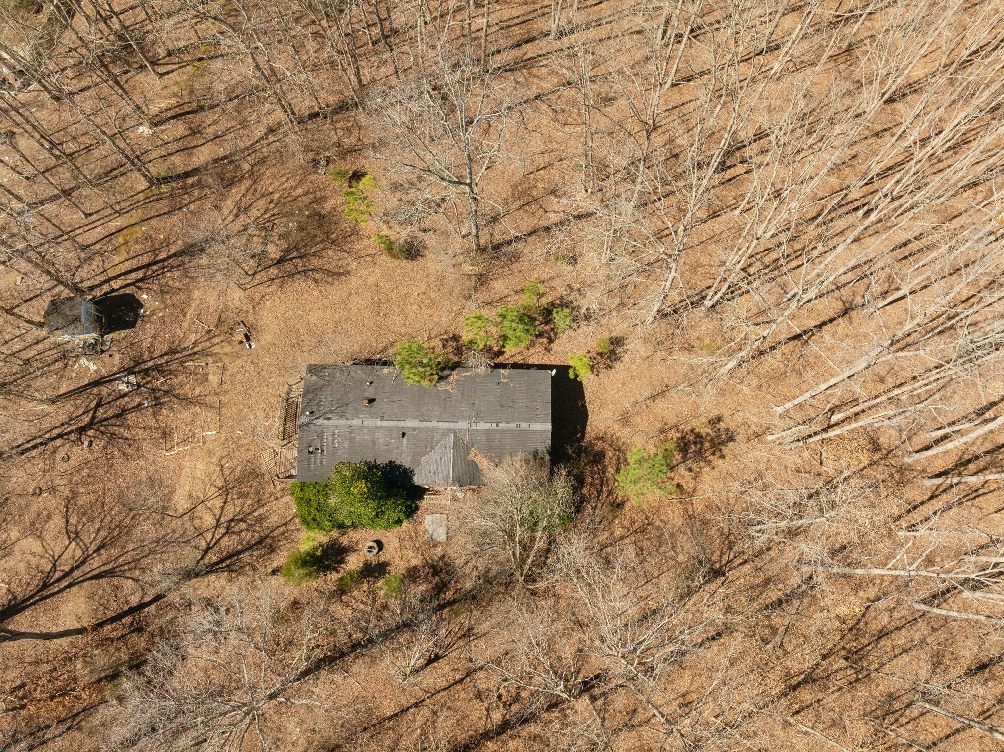 7822 Barnhill Road Primm Springs, TN 38476 - Photo 17 of 22