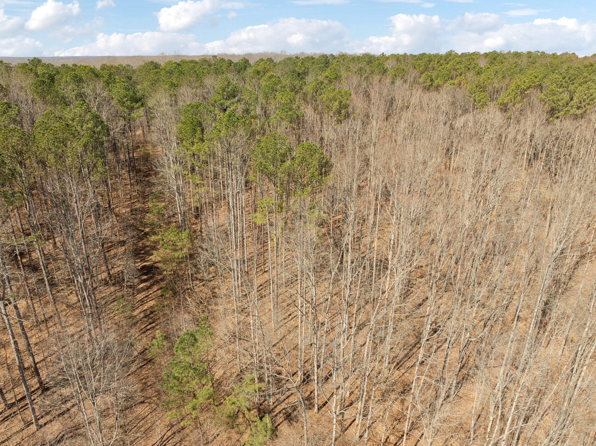 7822 Barnhill Road Primm Springs, TN 38476 - Photo 19 of 22