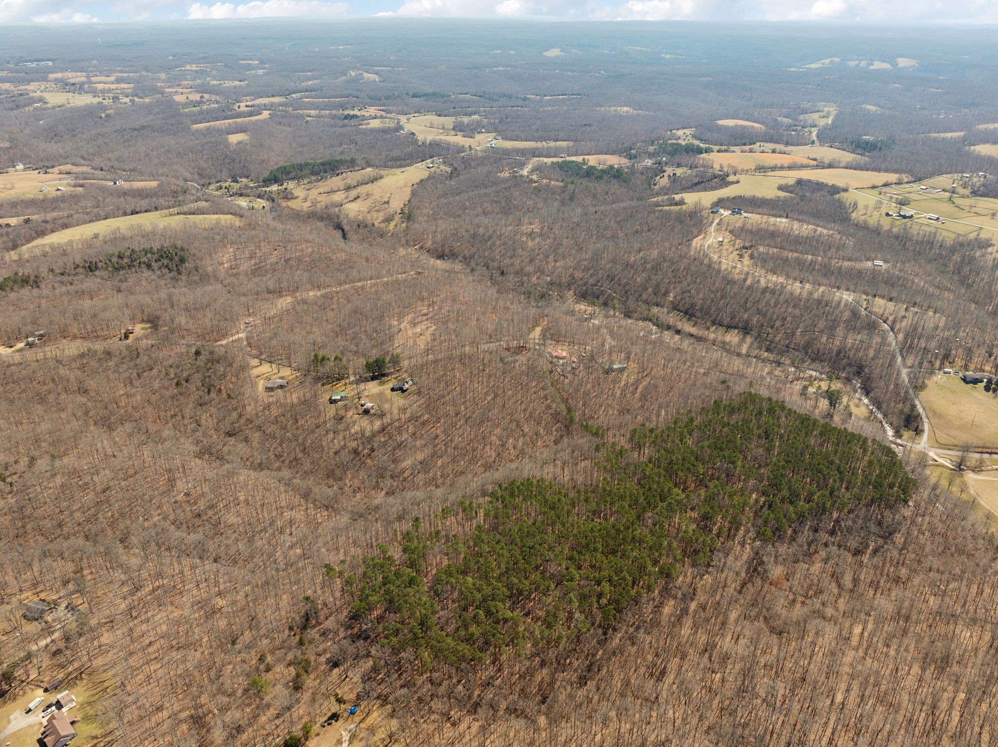 7822 Barnhill Road Primm Springs, TN 38476 - Photo 20 of 22