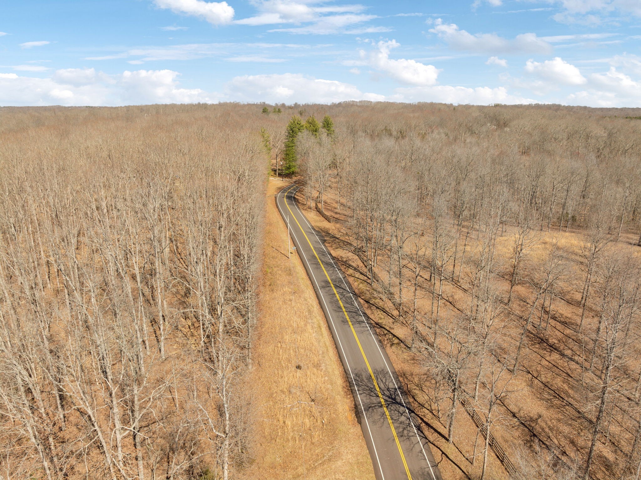 7822 Barnhill Road Primm Springs, TN 38476 - Photo 21 of 22