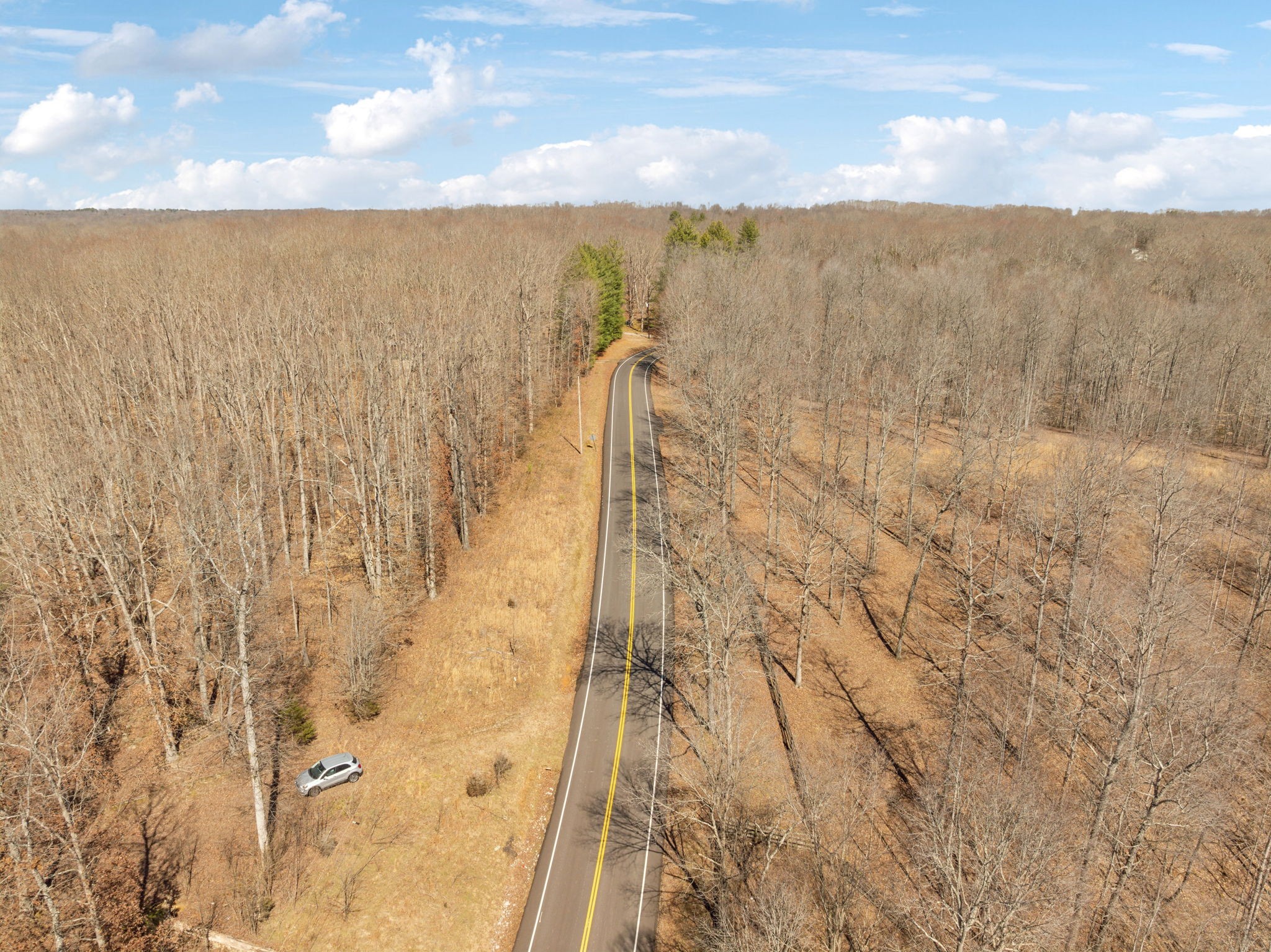 7822 Barnhill Road Primm Springs, TN 38476 - Photo 22 of 22