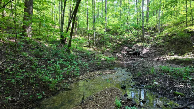 a view of a green yard