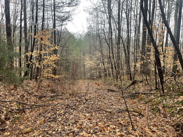 $400,000 | 7822 Barnhill Road, Primm Springs, TN 38476