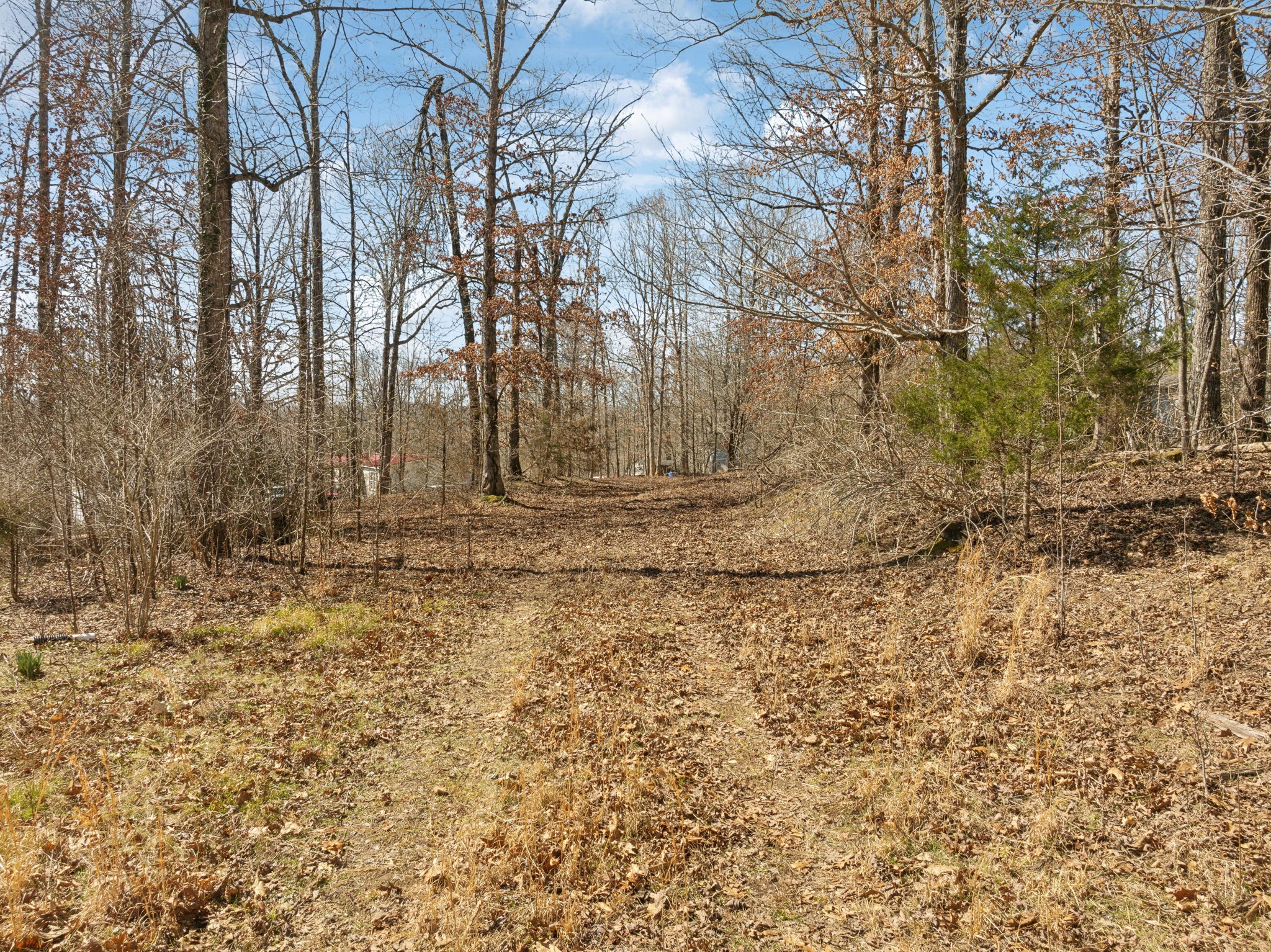 7822 Barnhill Road Primm Springs, TN 38476 - Photo 7 of 22