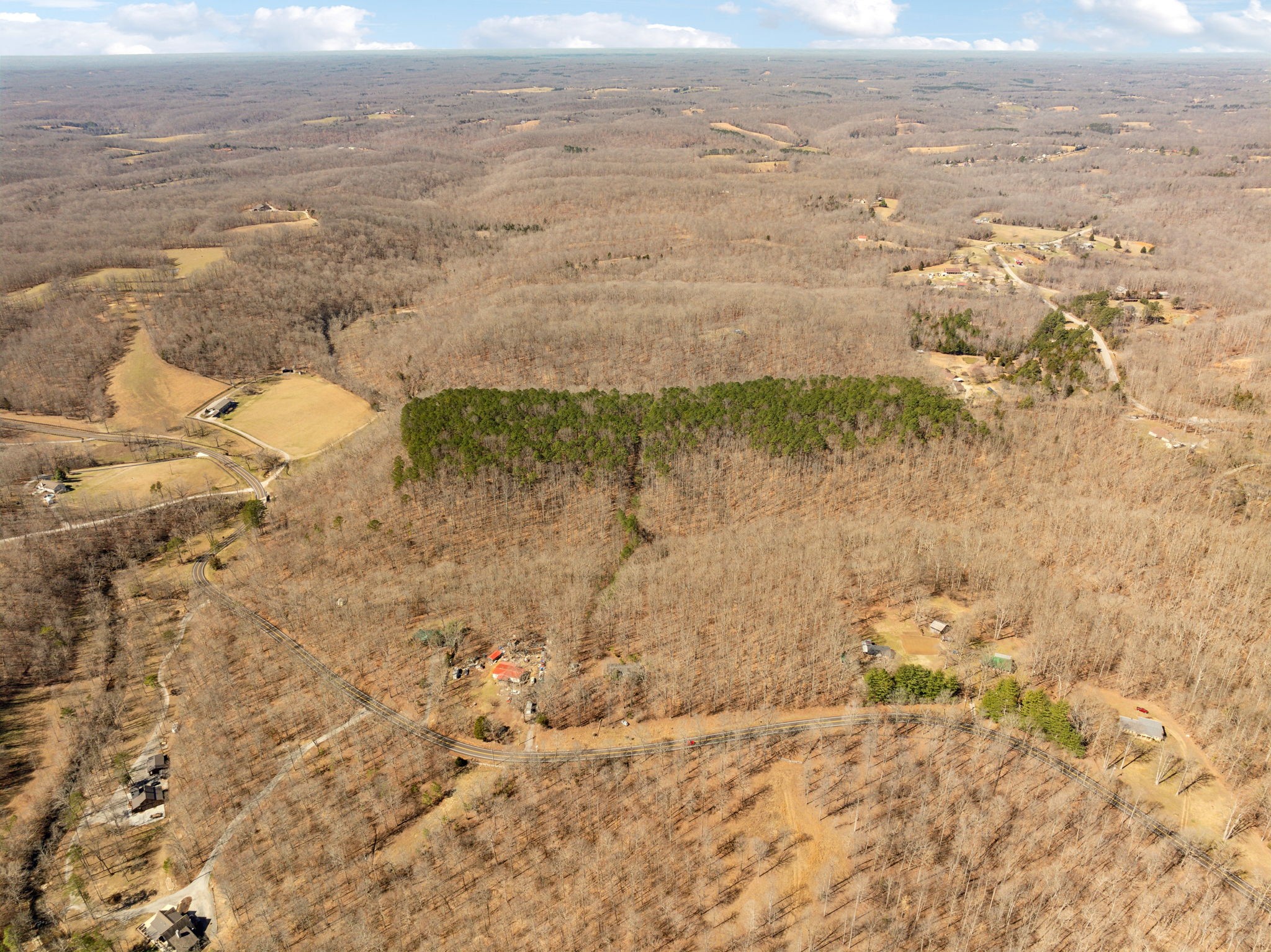 7822 Barnhill Road Primm Springs, TN 38476 - Photo 8 of 22