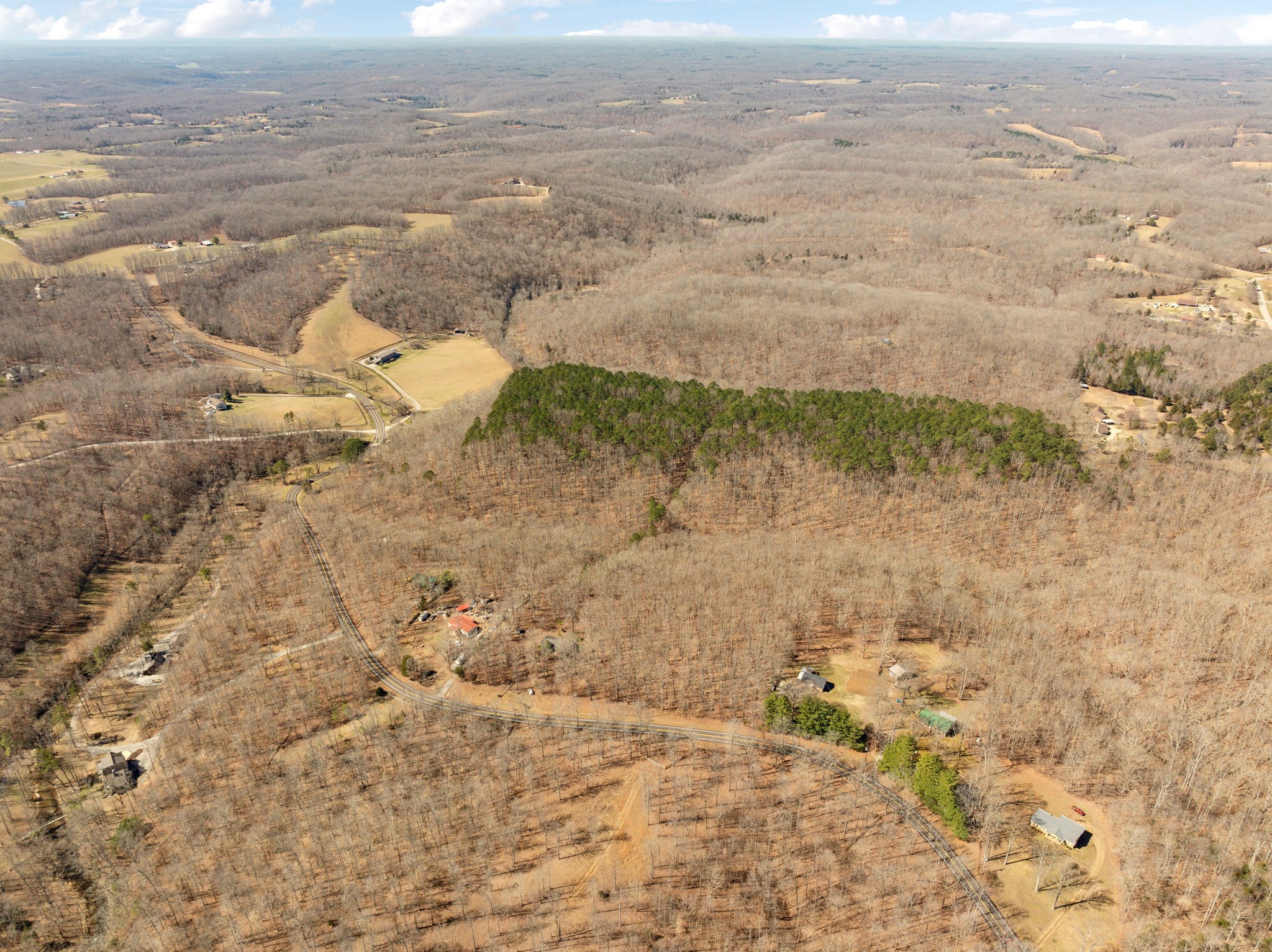 7822 Barnhill Road Primm Springs, TN 38476 - Photo 9 of 22