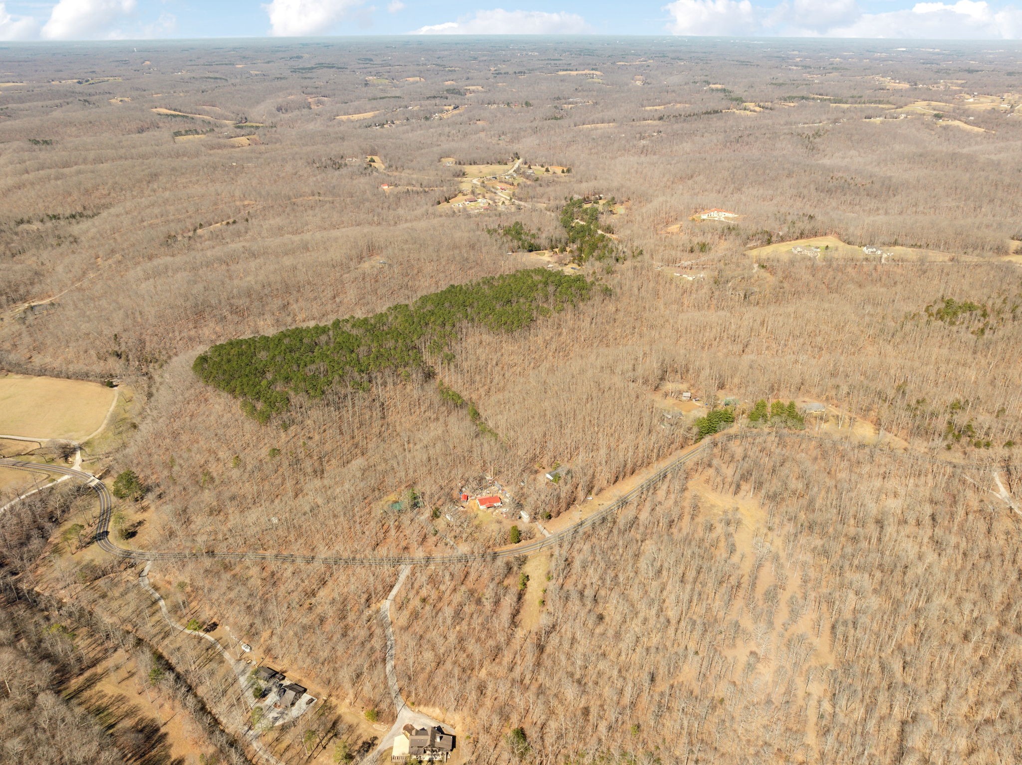 7822 Barnhill Road Primm Springs, TN 38476 - Photo 10 of 22