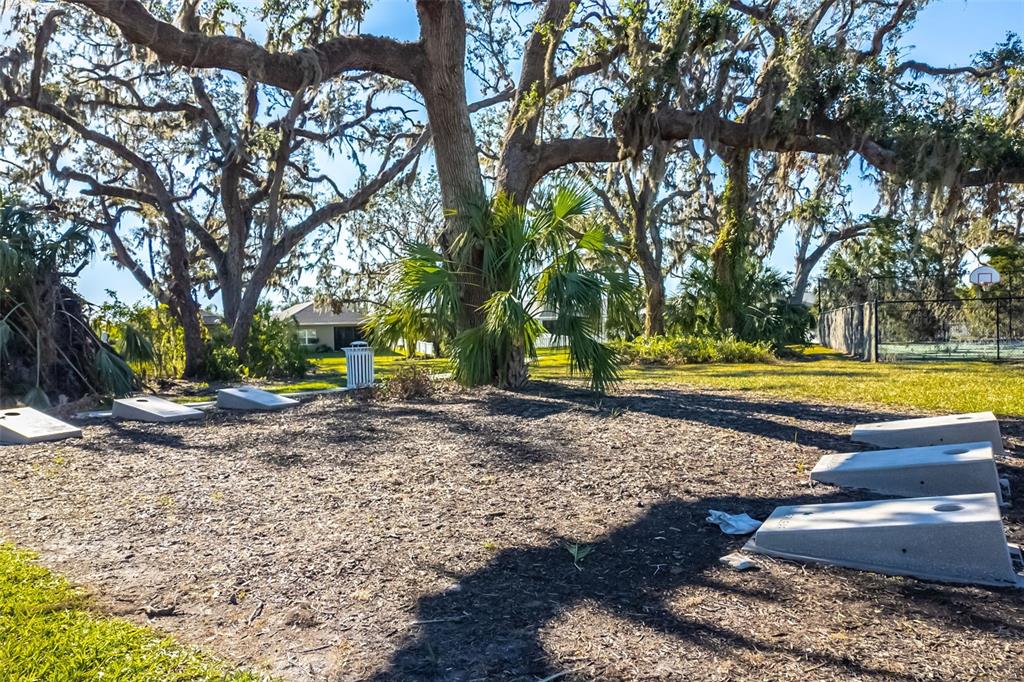 3410 Box Turtle Terrace Parrish, FL 34219 - Photo 97 of 99