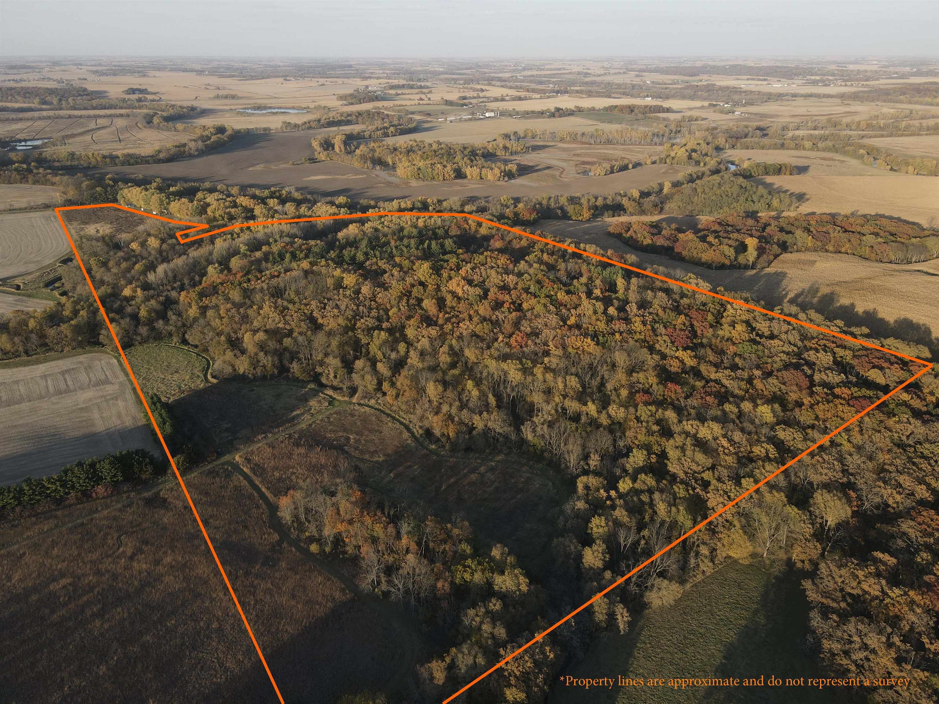 0 Cabin Road Lena, IL 61048 - Photo 1 of 60 Gallery Image 1