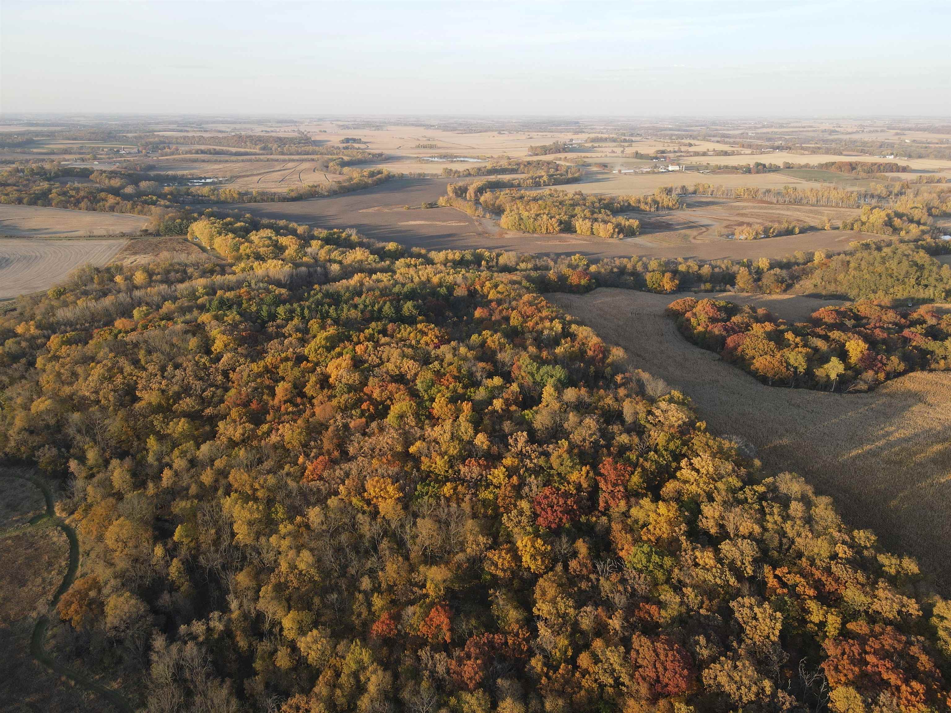 0 Cabin Road Lena, IL 61048 - Photo 21 of 60 Gallery Image 21