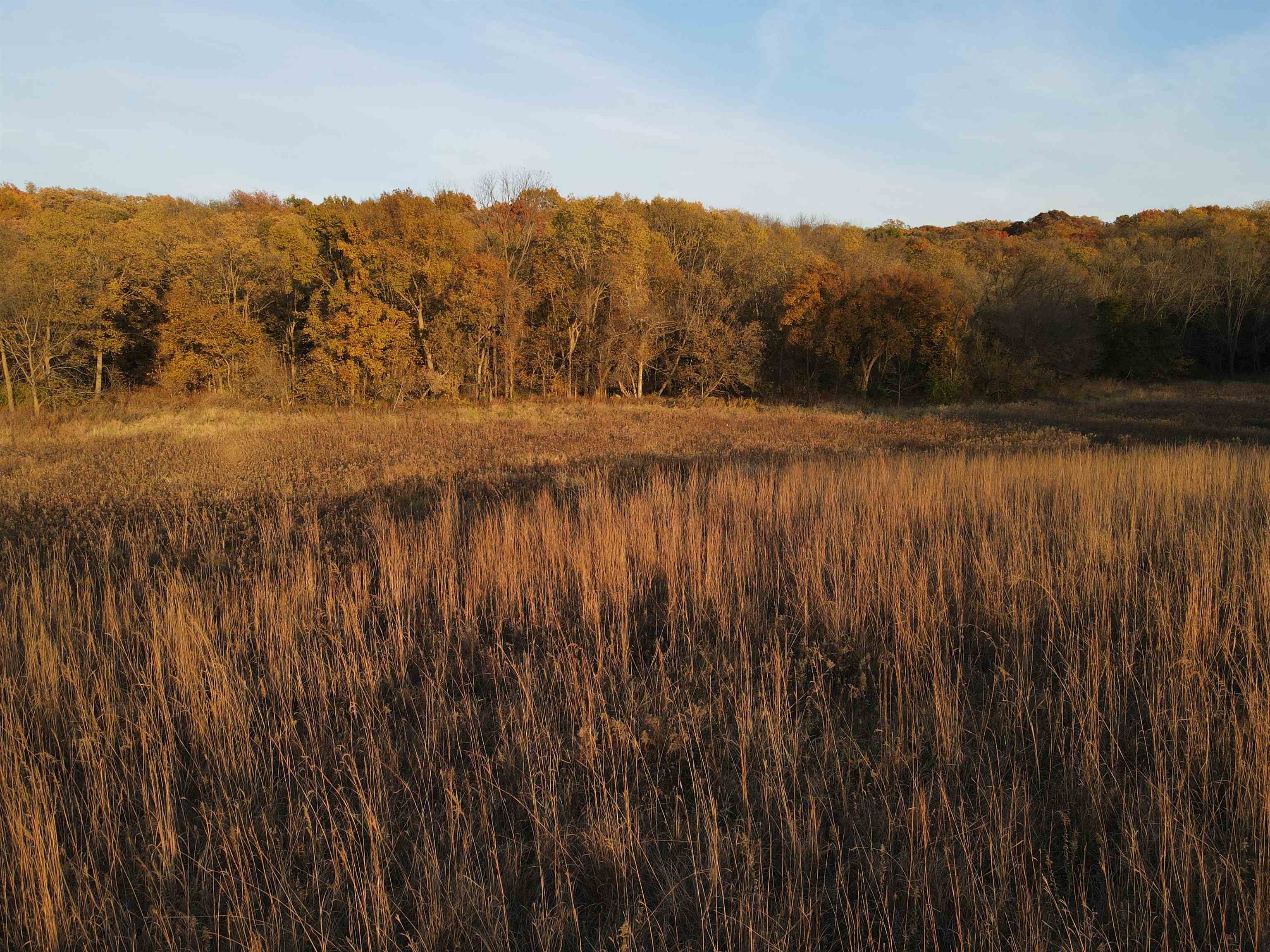 0 Cabin Road Lena, IL 61048 - Photo 27 of 60 Gallery Image 27