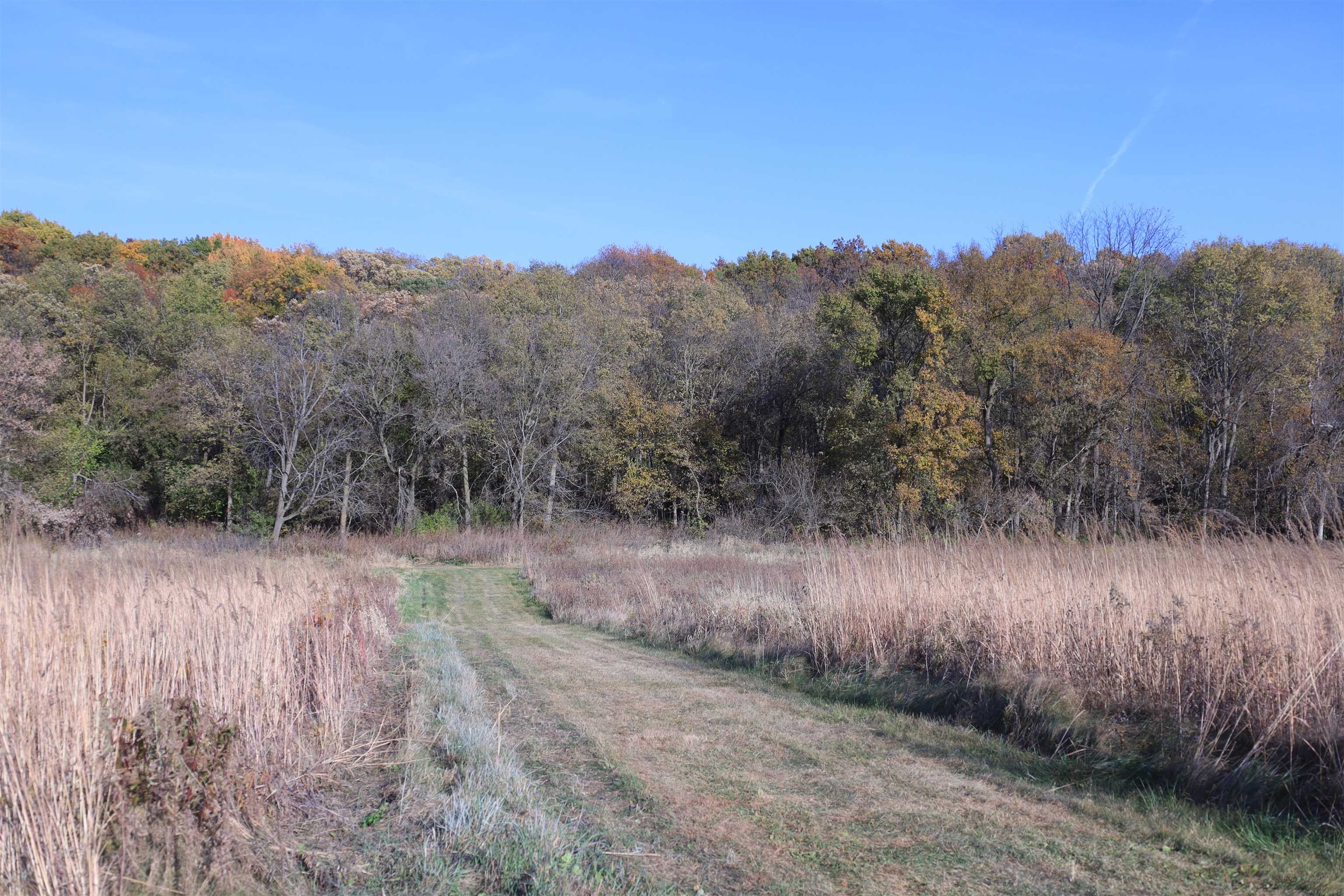 0 Cabin Road Lena, IL 61048 - Photo 28 of 60 Gallery Image 28