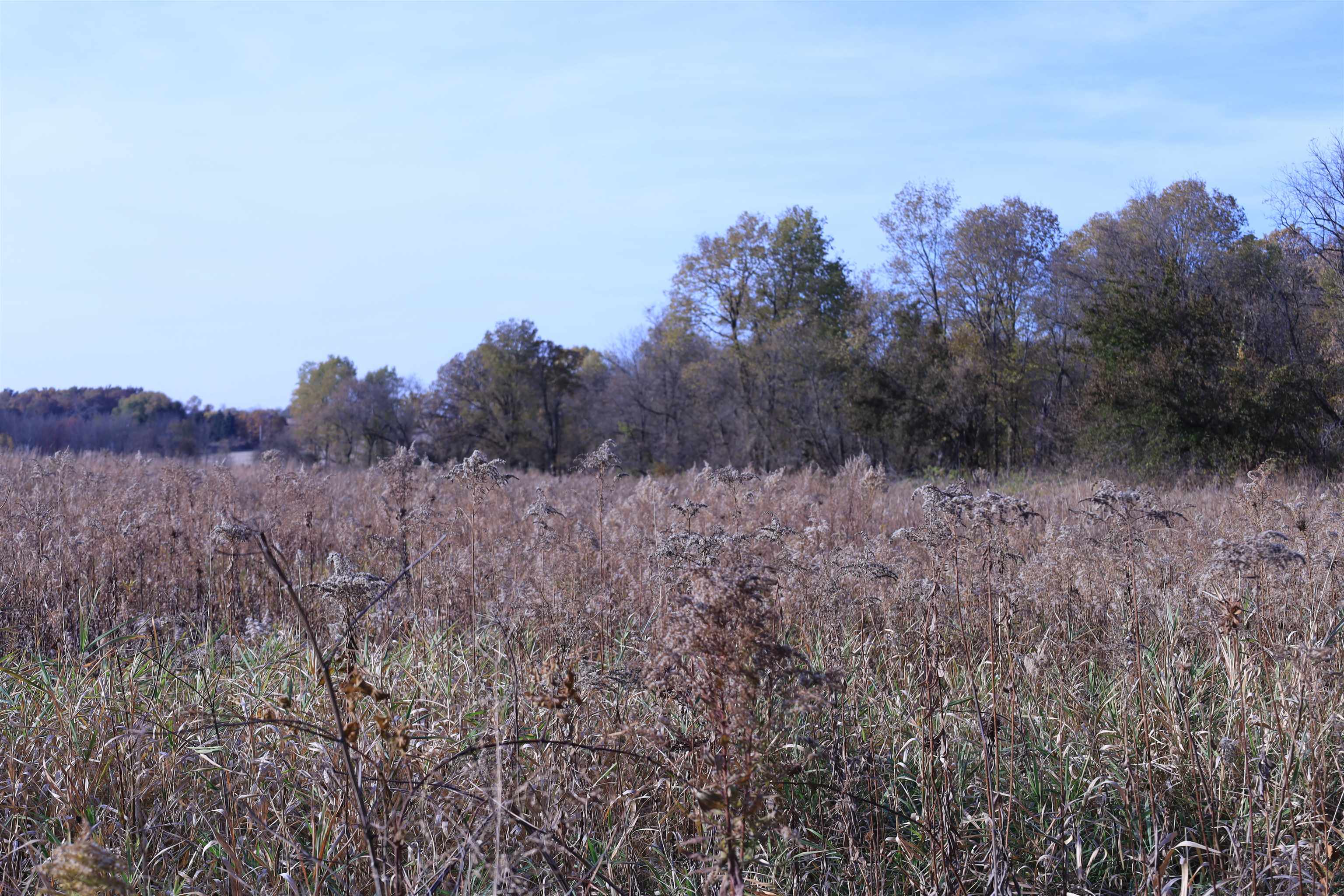 0 Cabin Road Lena, IL 61048 - Photo 34 of 60 Gallery Image 34