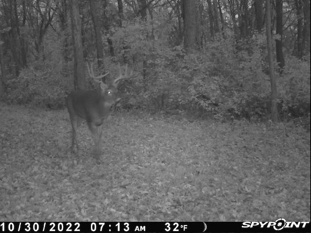 0 Cabin Road Lena, IL 61048 - Photo 50 of 60 Gallery Image 50
