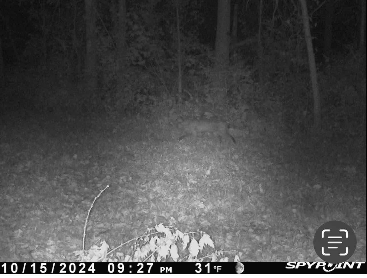 0 Cabin Road Lena, IL 61048 - Photo 54 of 60 Gallery Image 54