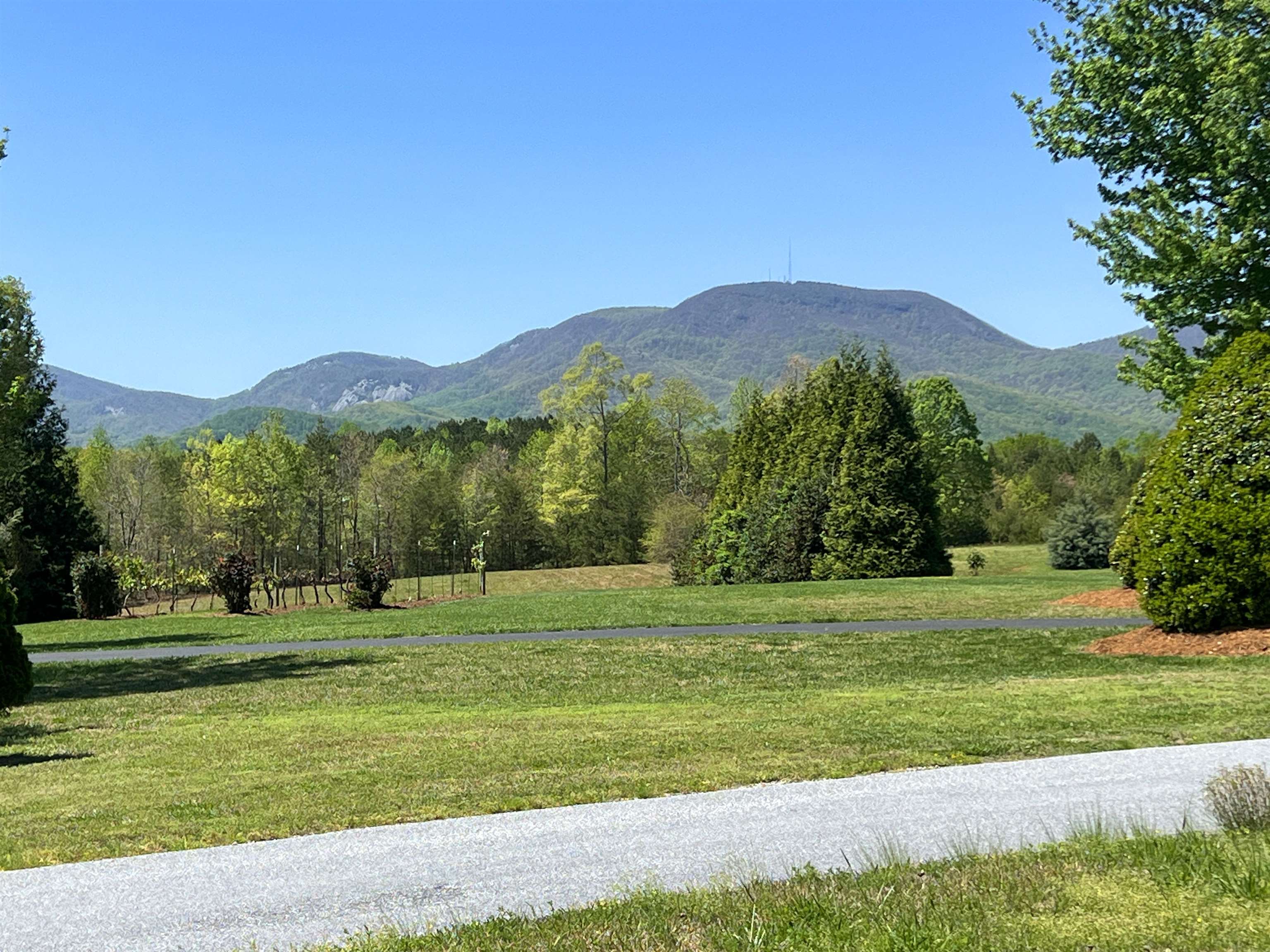 101 Moccasin Way Landrum, SC 29356 - Photo 3 of 46