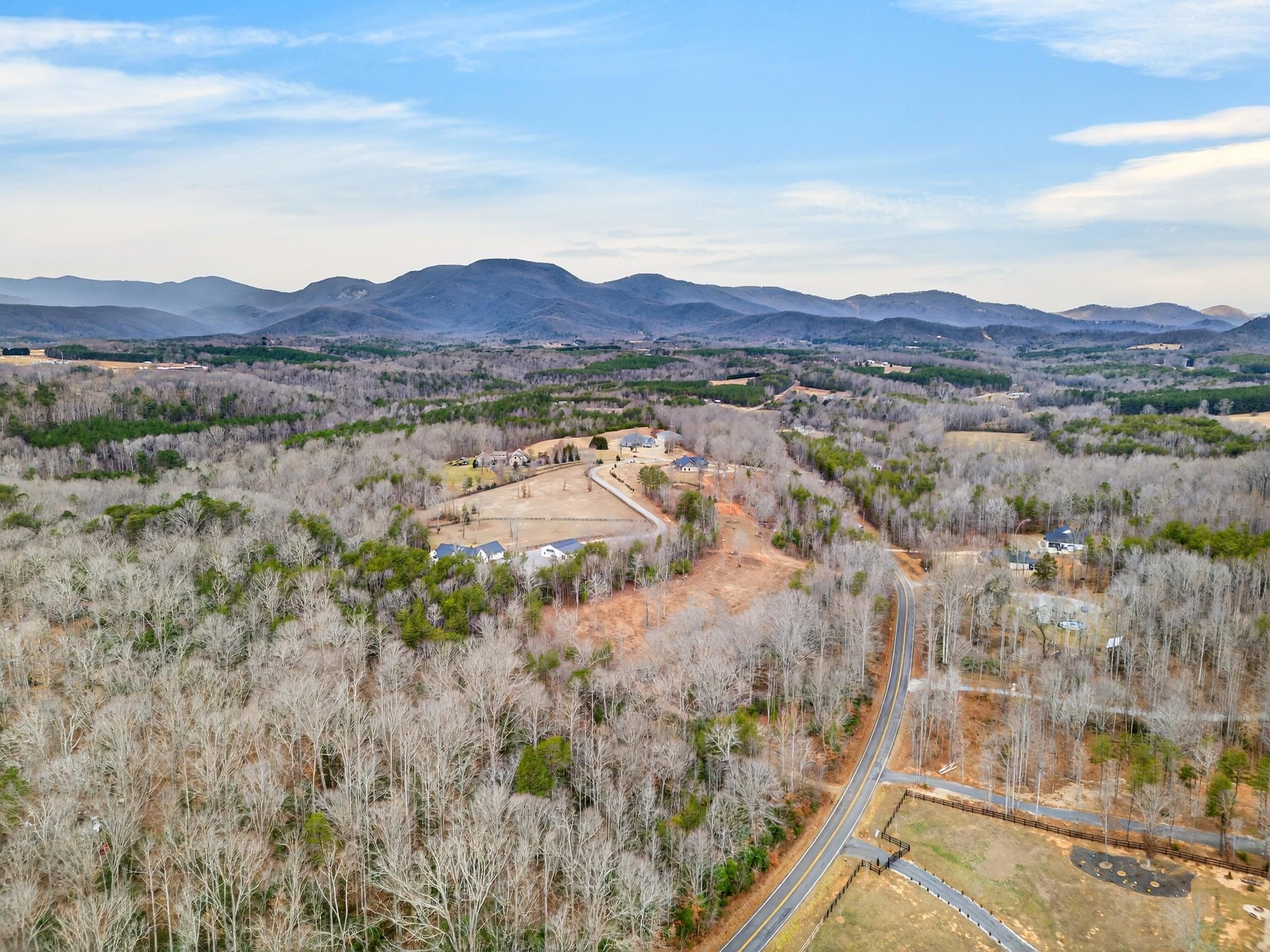 101 Moccasin Way Landrum, SC 29356 - Photo 42 of 46