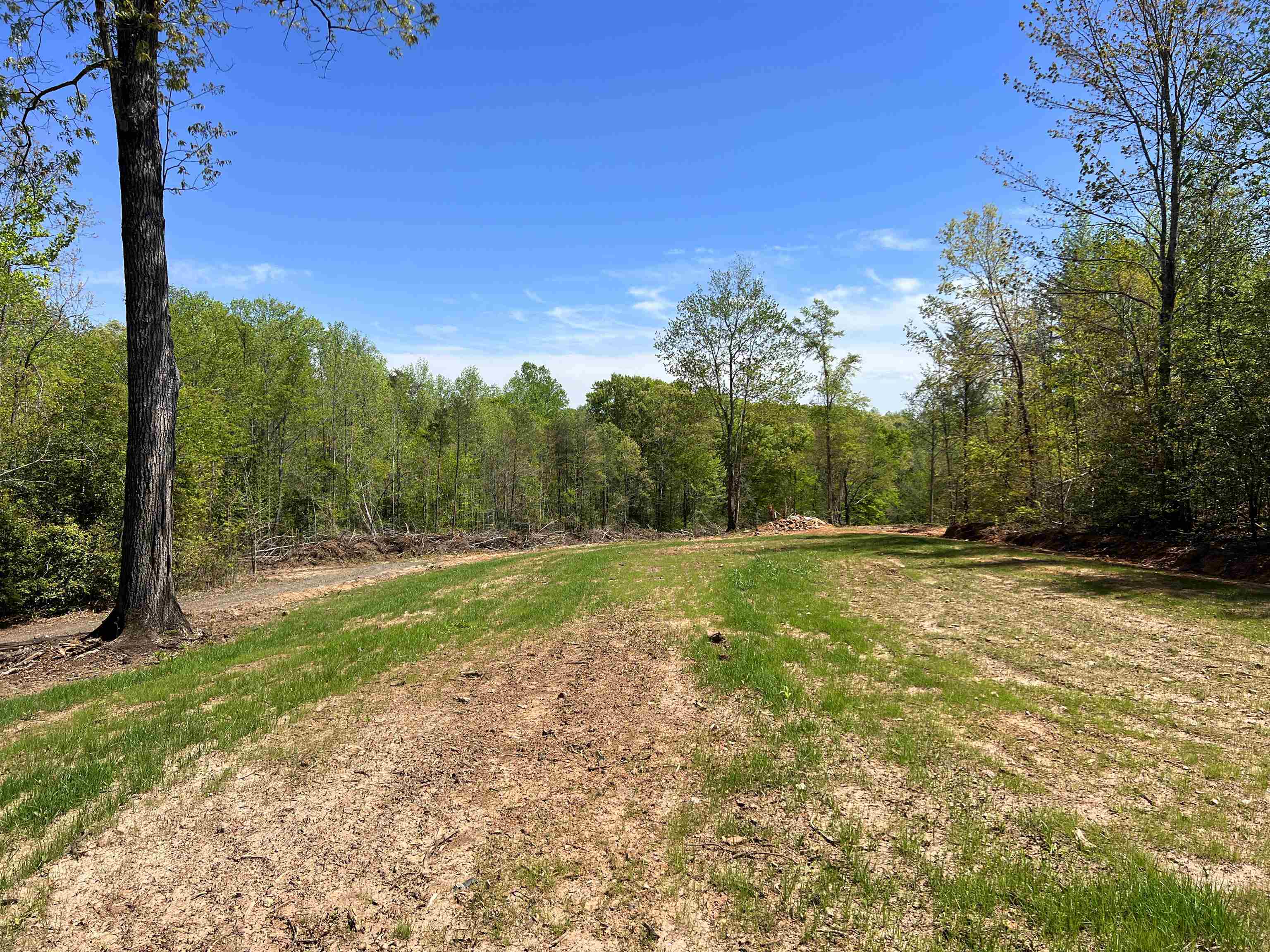 101 Moccasin Way Landrum, SC 29356 - Photo 44 of 46