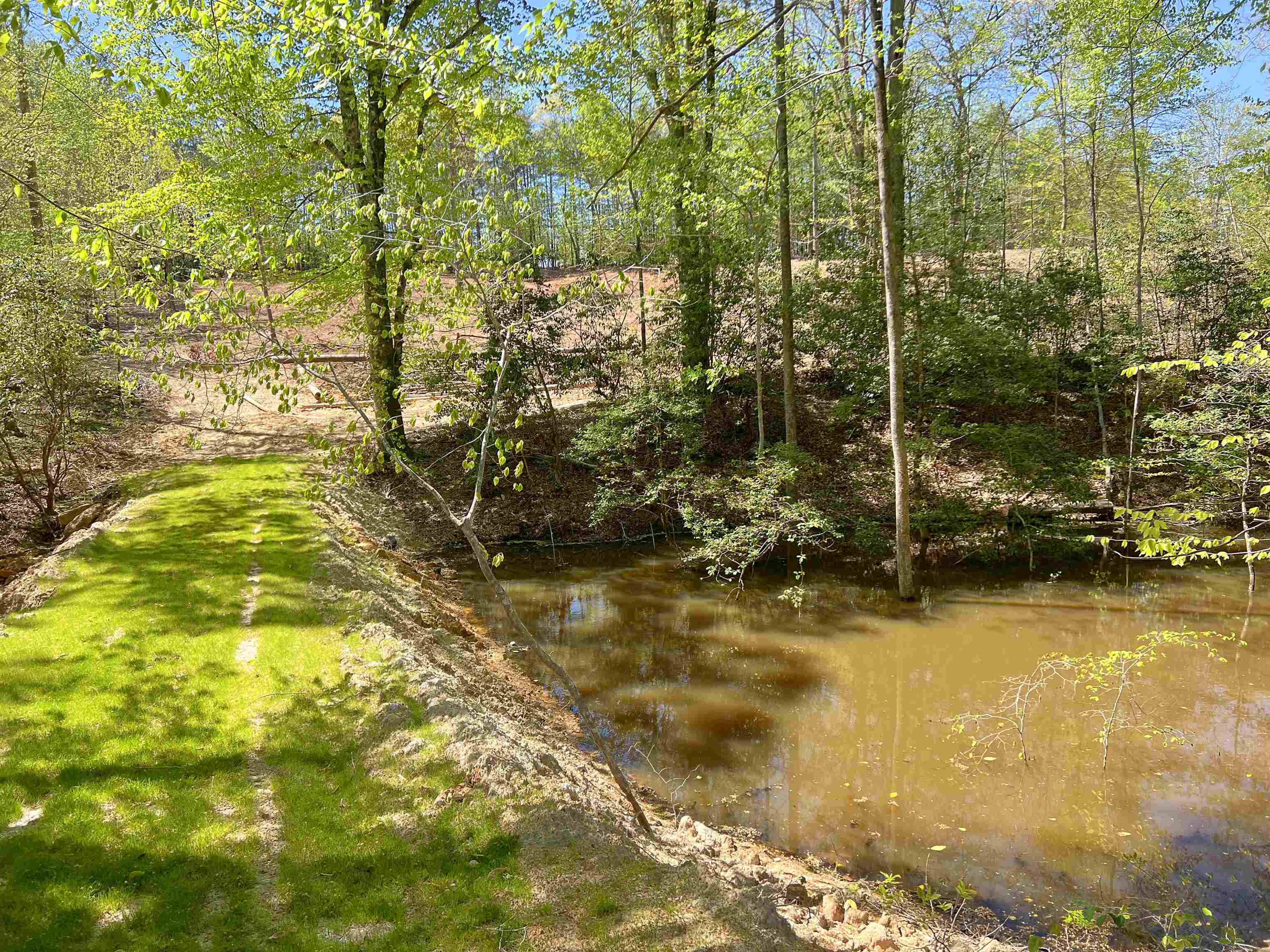 101 Moccasin Way Landrum, SC 29356 - Photo 45 of 46