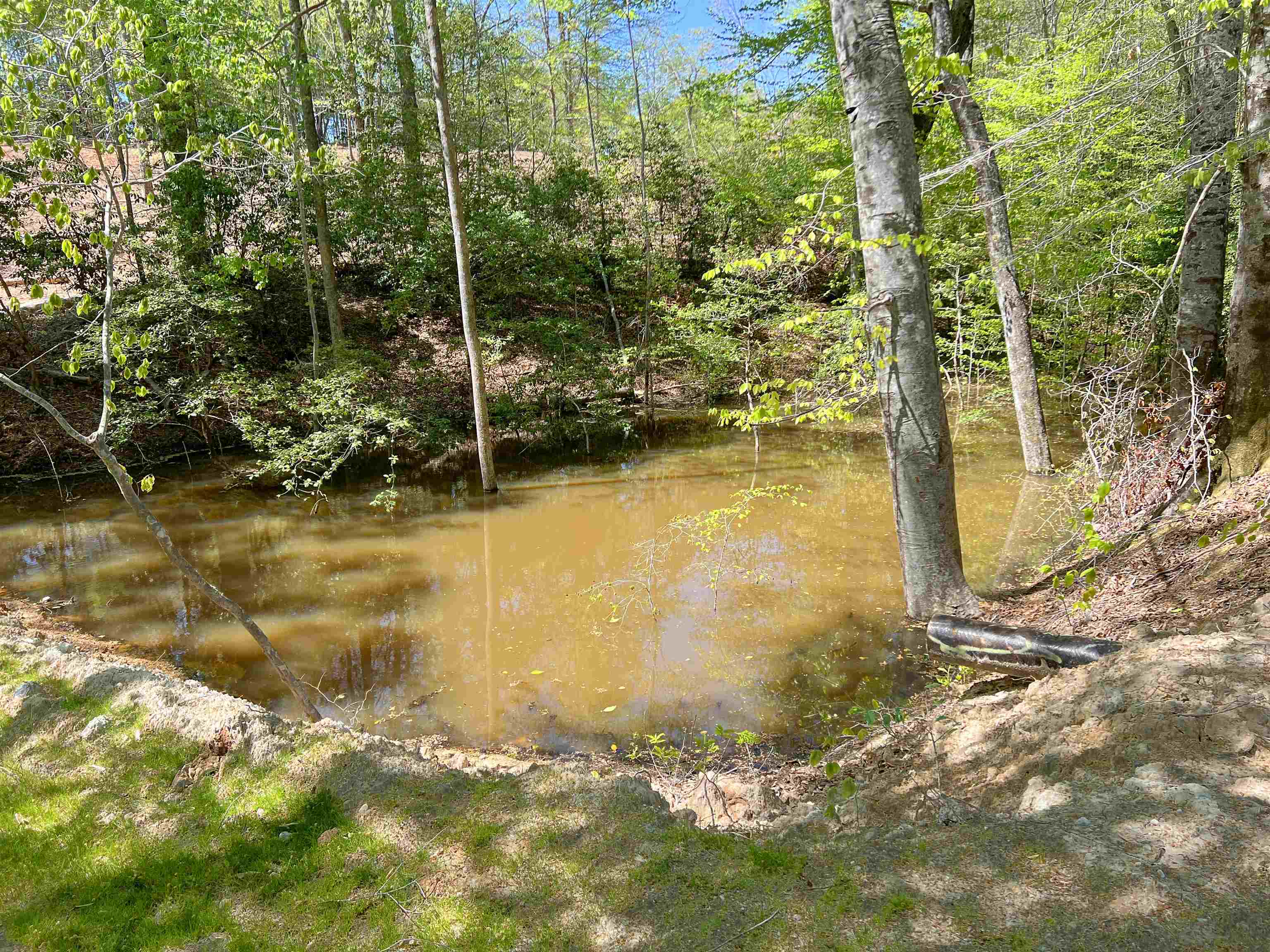 101 Moccasin Way Landrum, SC 29356 - Photo 46 of 46