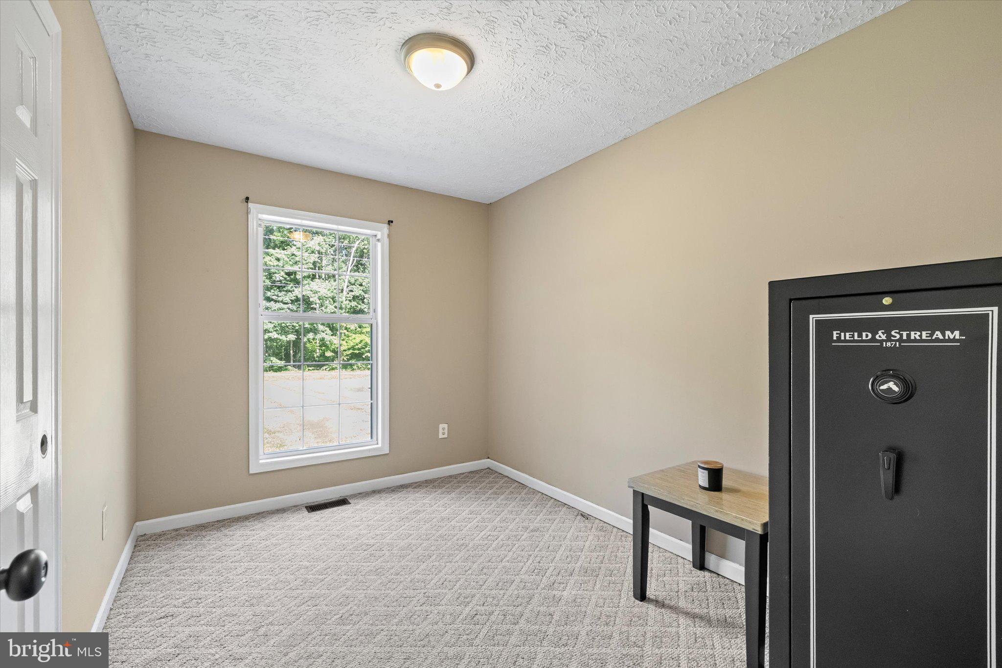 252 Evergreen Road Louisa, VA 23093 - Photo 27 of 39 bedroom 3