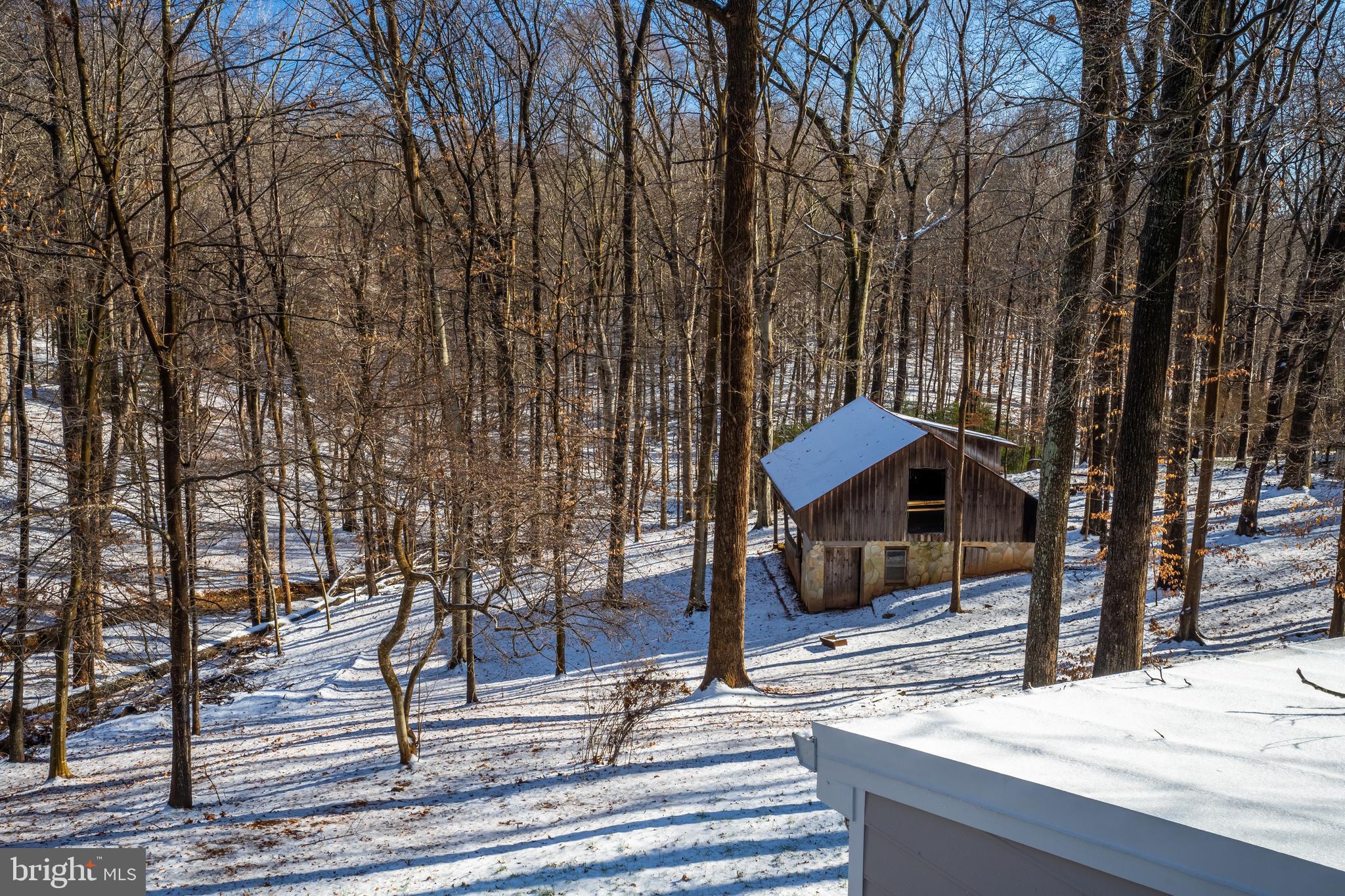 7009 Union Mill Road Clifton, VA 20124 - Photo 46 of 57