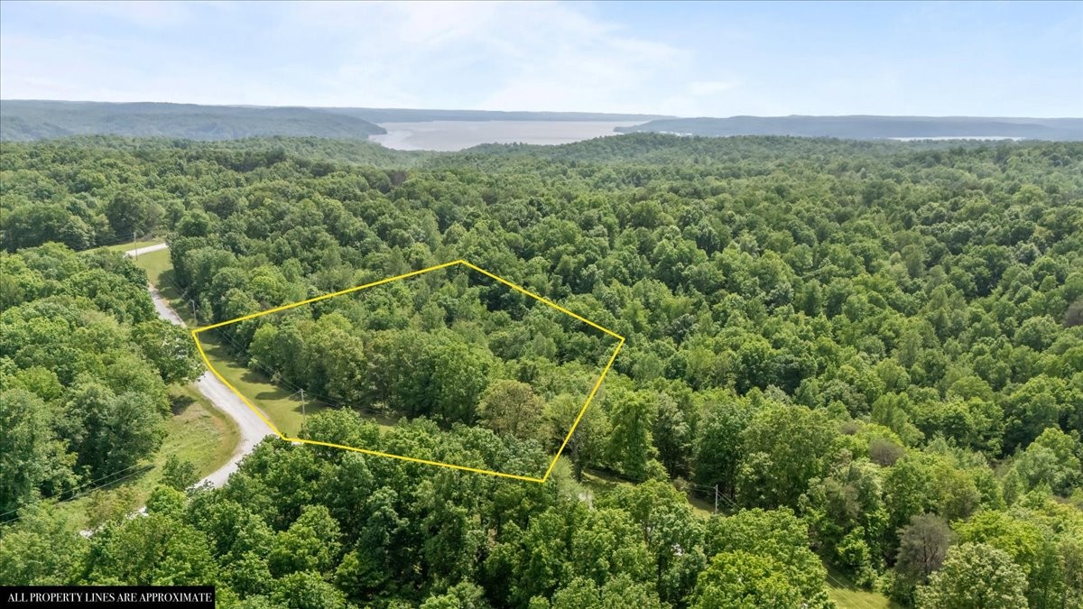 0 Western Road Waverly, TN 37185 - Photo 2 of 18