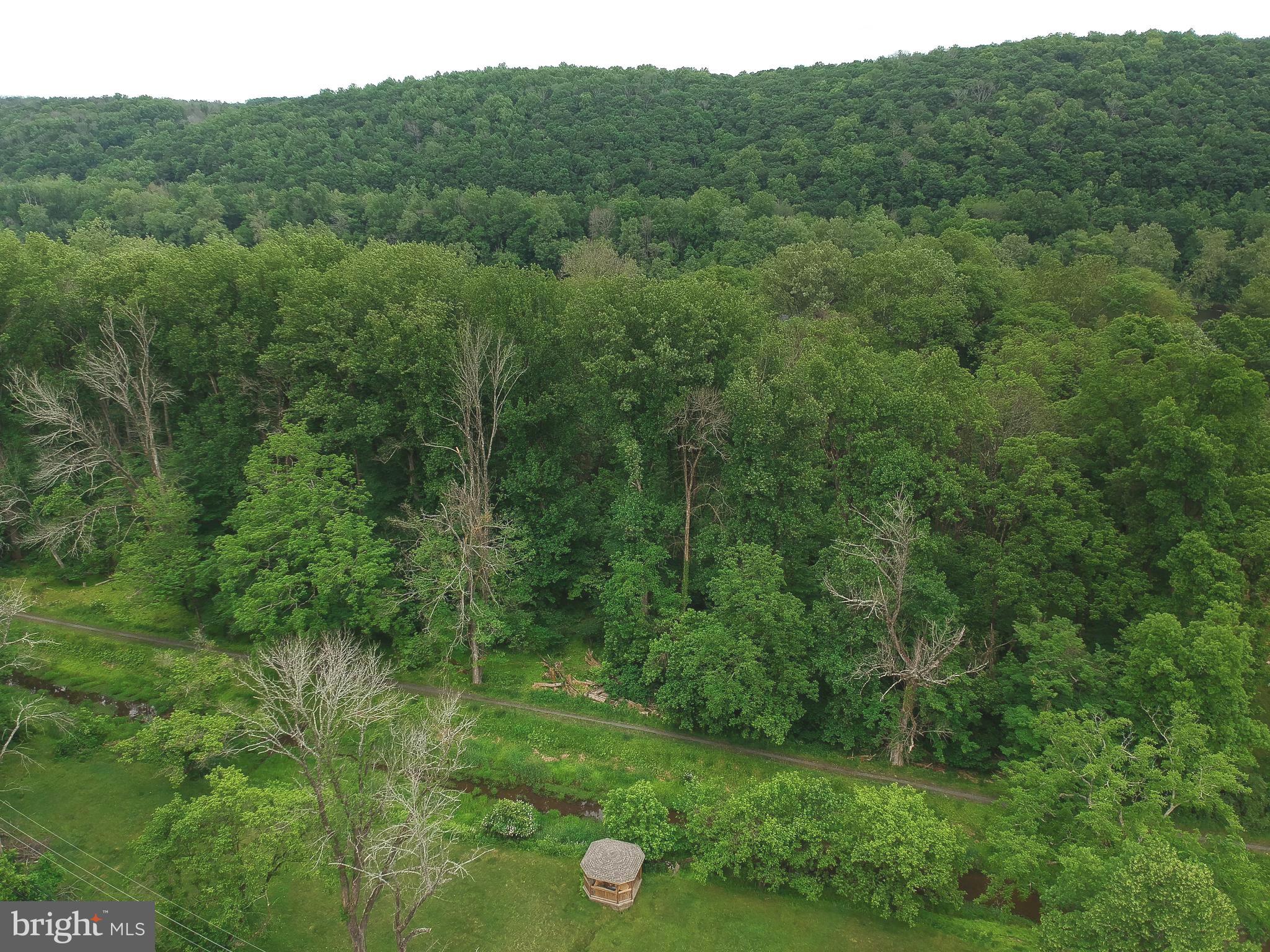 225 River Road Pipersville, PA 18947 - Photo 31 of 32 Aerial View