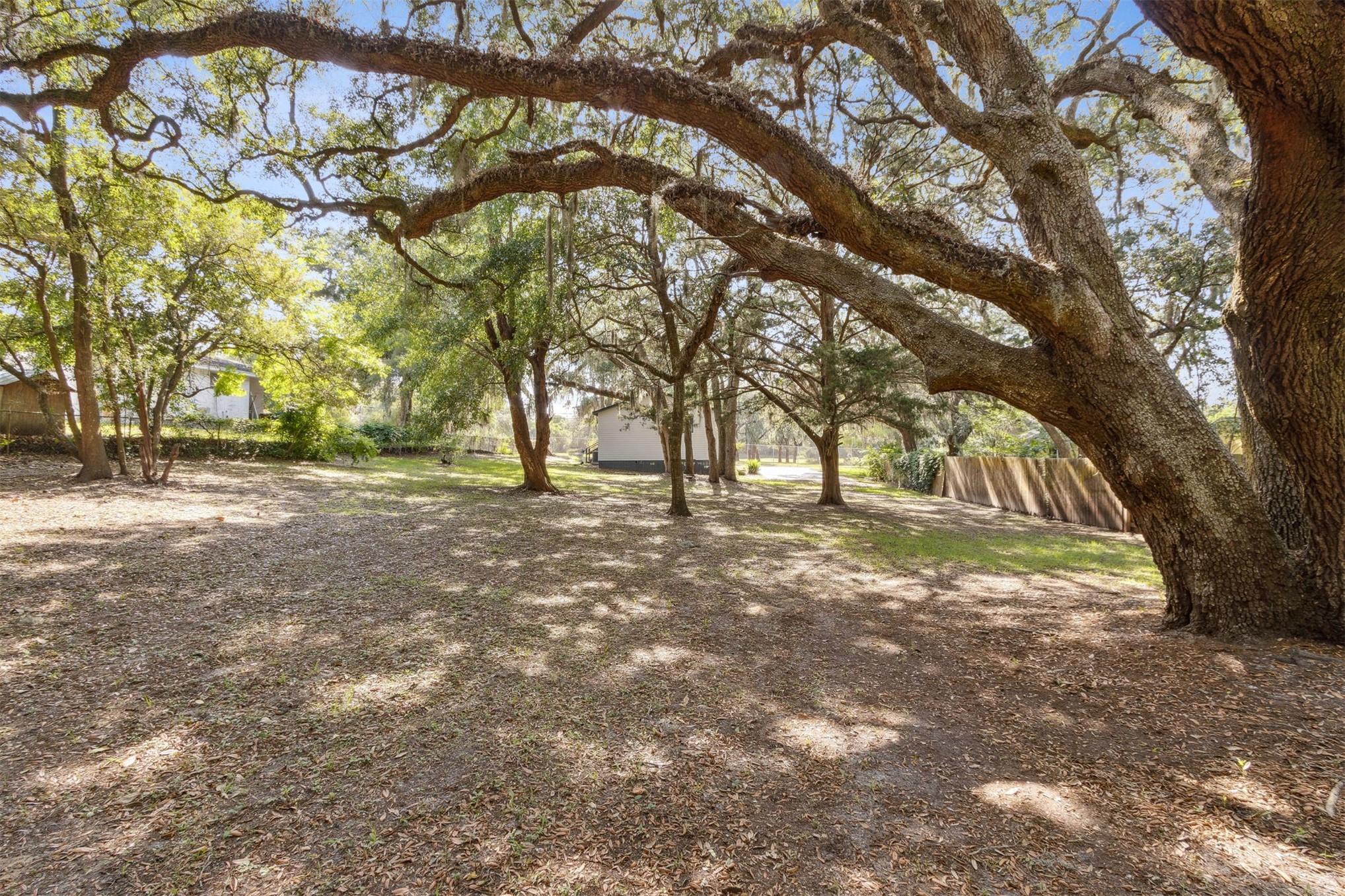 724 North 14th Street Fernandina Beach, FL 32034 - Photo 26 of 34 a view of outdoor space with trees