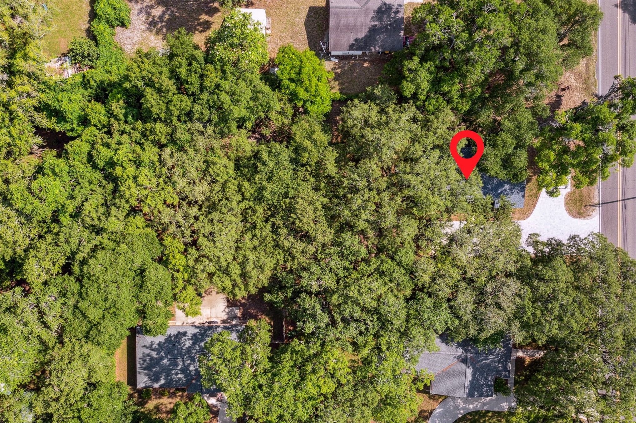 724 North 14th Street Fernandina Beach, FL 32034 - Photo 27 of 34 a picture of a tree