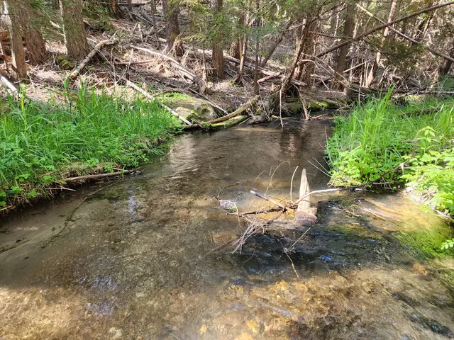 $50,000 | Manzanita Creek Drive, Shingletown, CA 96088