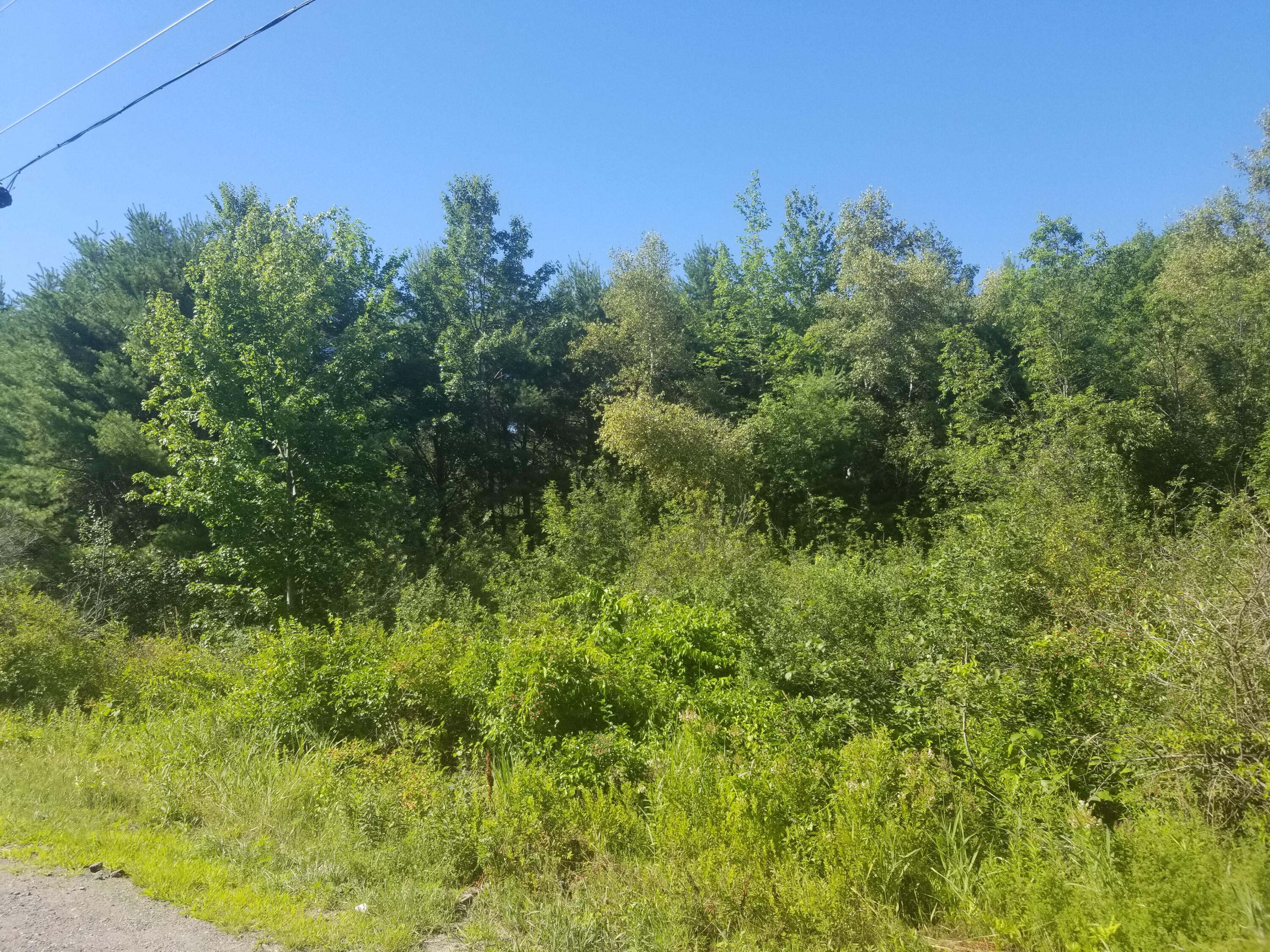 0 Kelley Road Orono, ME 04473 - Photo 3 of 10 20200715_155602