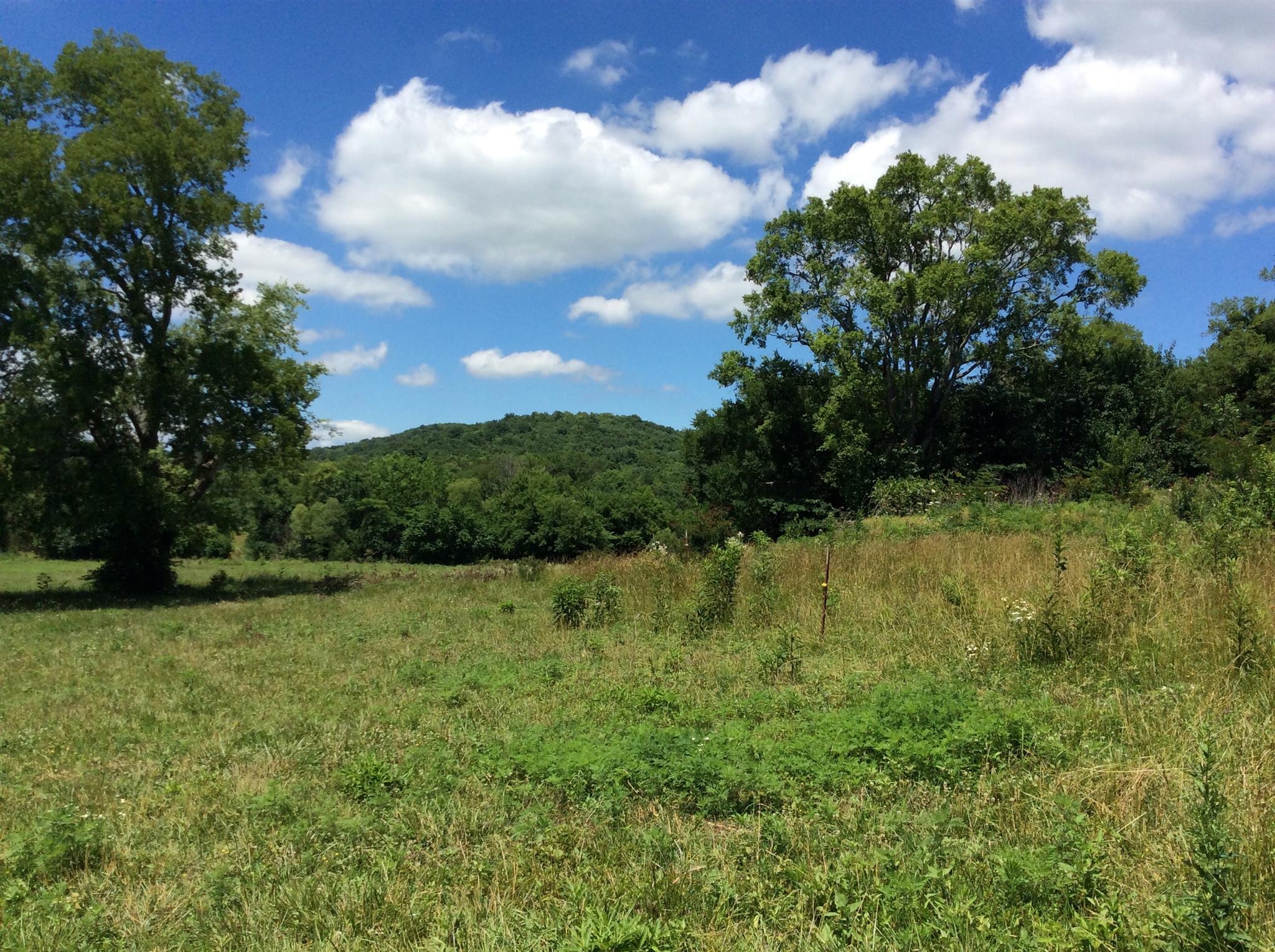 12555 Bell Buckle Road Bell Buckle, TN 37020 - Photo 10 of 13 Gallery Image 10