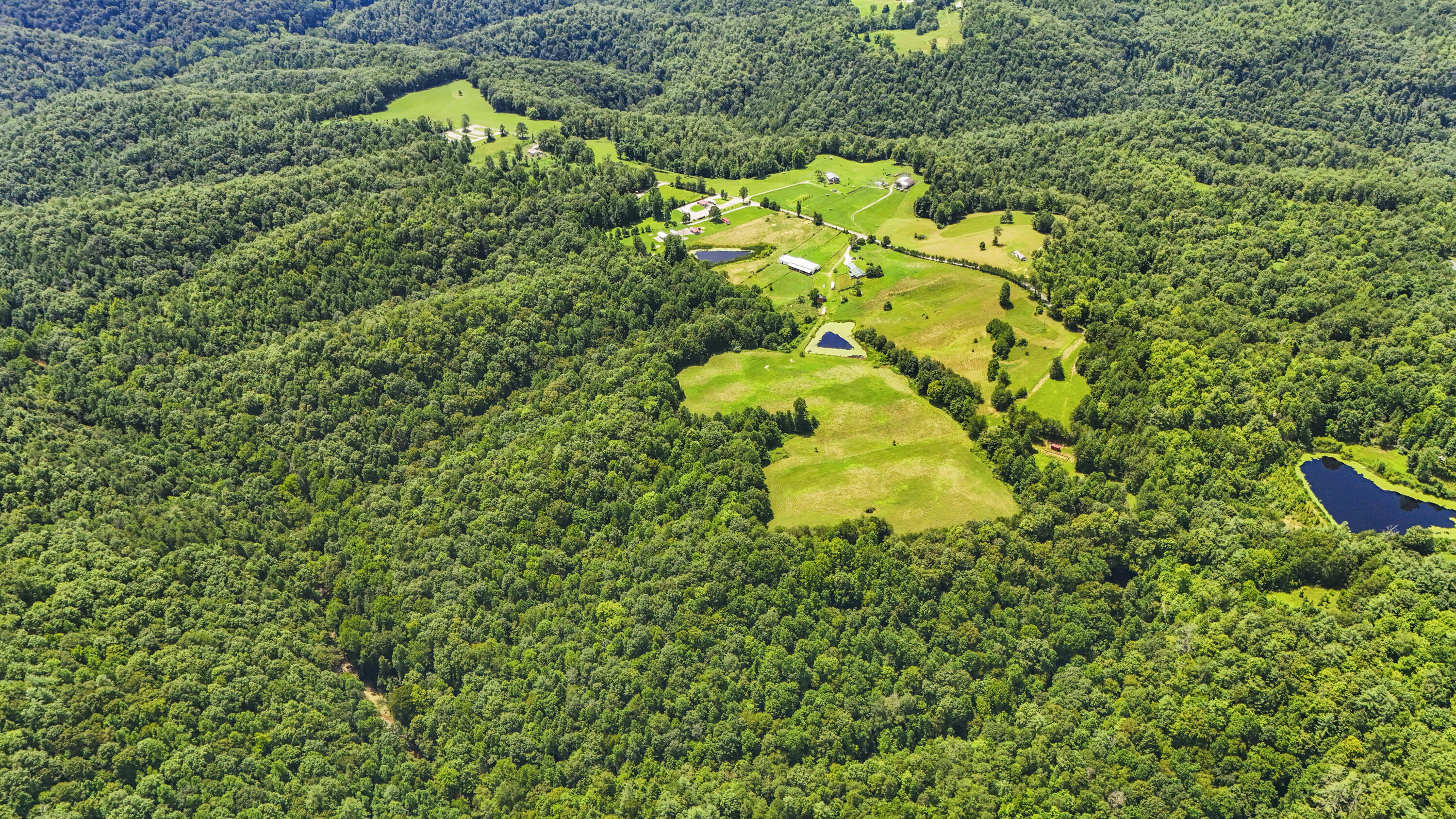 5119 Shoemaker Ridge Zoe, KY 41397 - Photo 5 of 46 DJI_20250806135811_0052_D