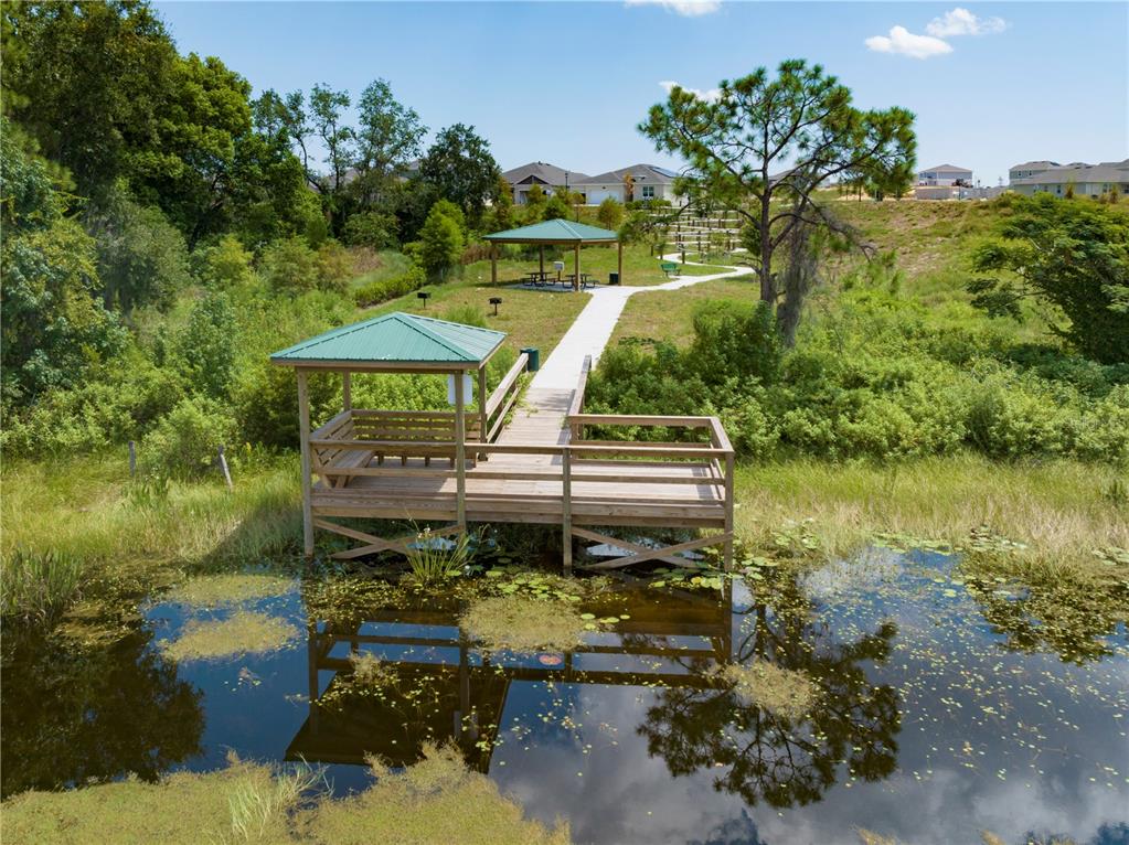 7276 Rolling Leaf Road Groveland, FL 34736 - Photo 11 of 11