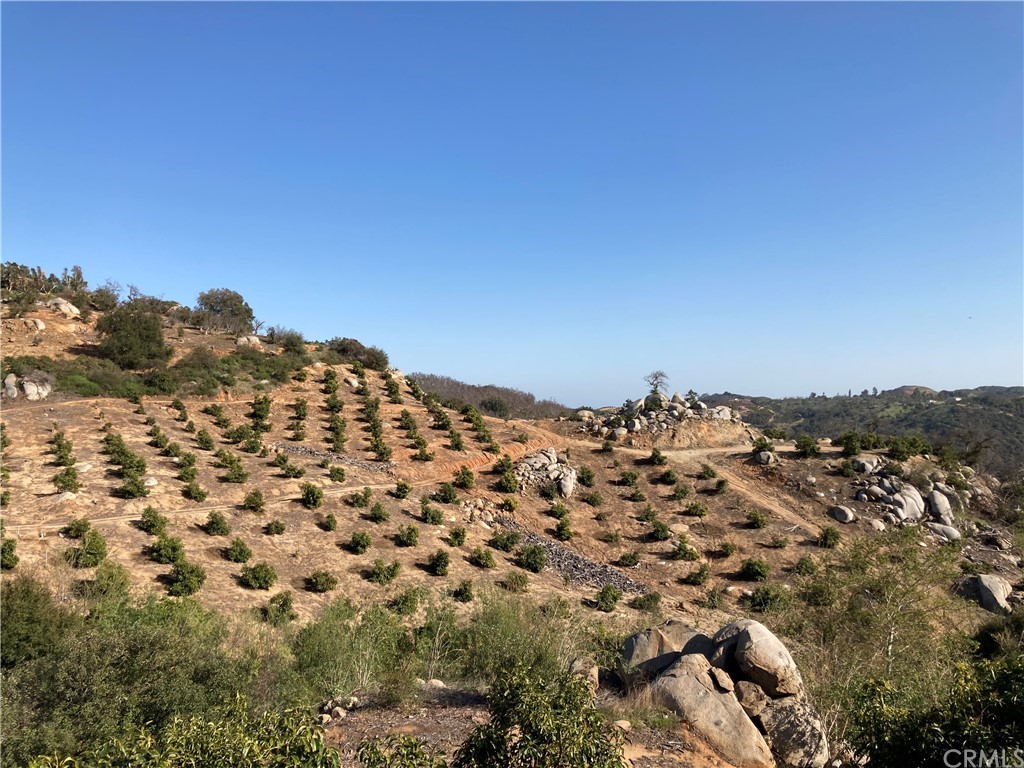 3 Buena Vista Road Temecula, CA 92590 - Photo 1 of 1 Gallery Image 1