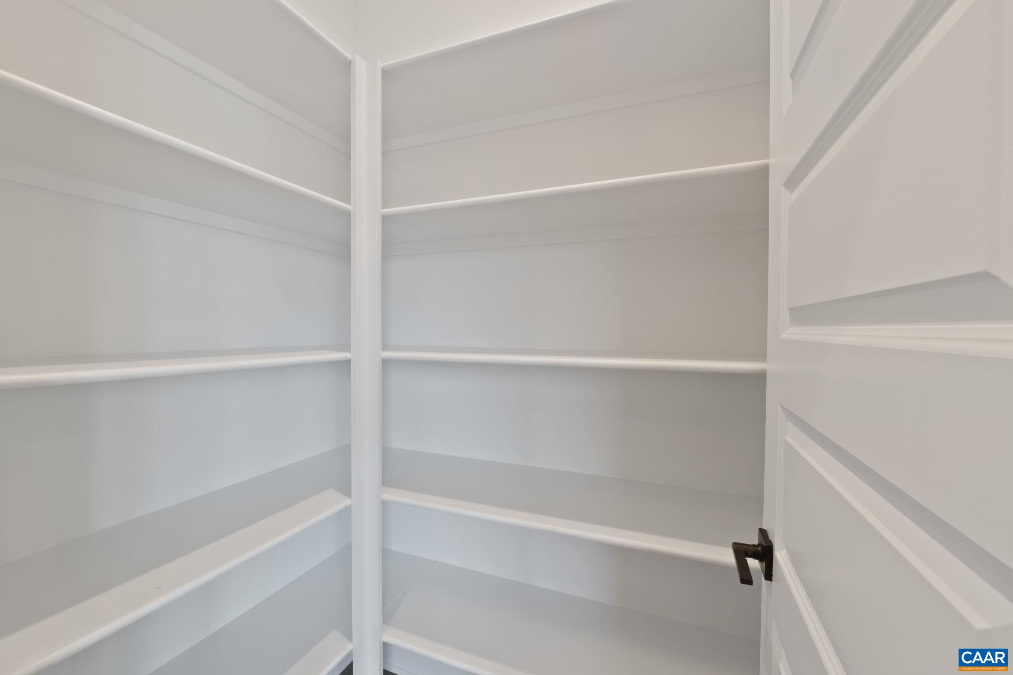 23 Talen Lane Charlottesville, VA 22911 - Photo 15 of 44 a view of walk in closet with empty racks