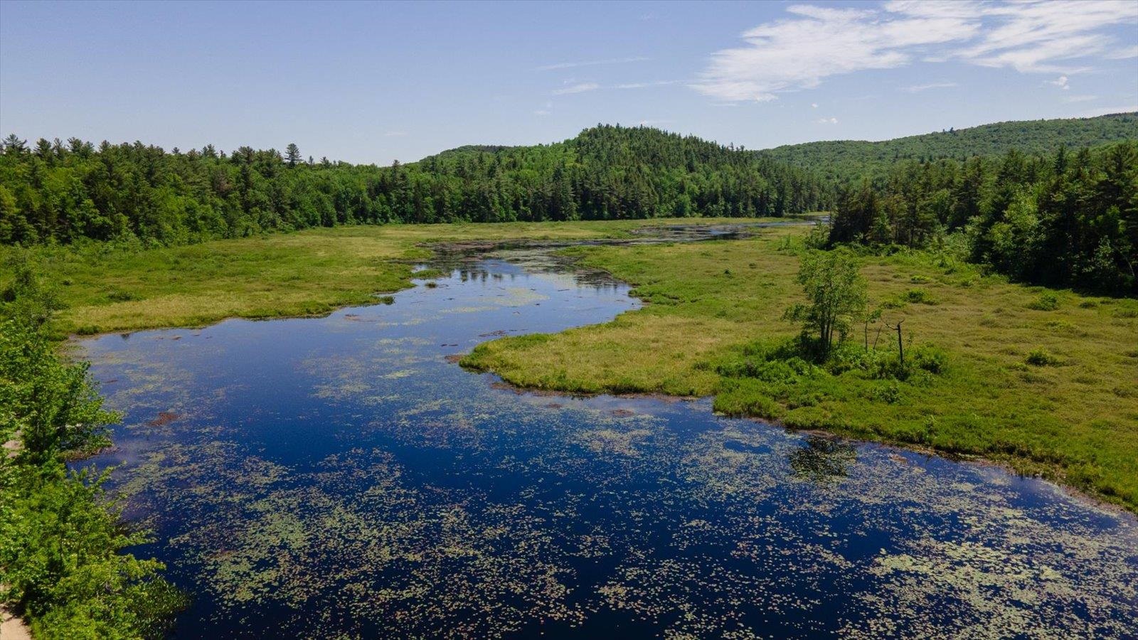 216 Old Forest Road Stoddard, NH 03464 - Photo 4 of 43