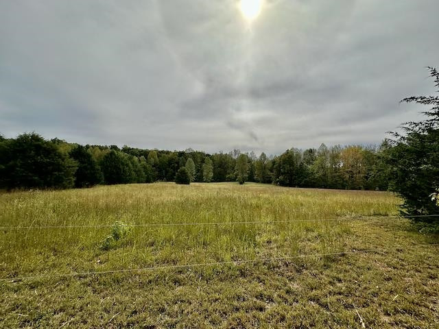 1614 Clay Long Road Timberlake, NC 27583 - Photo 51 of 75 Photo 51