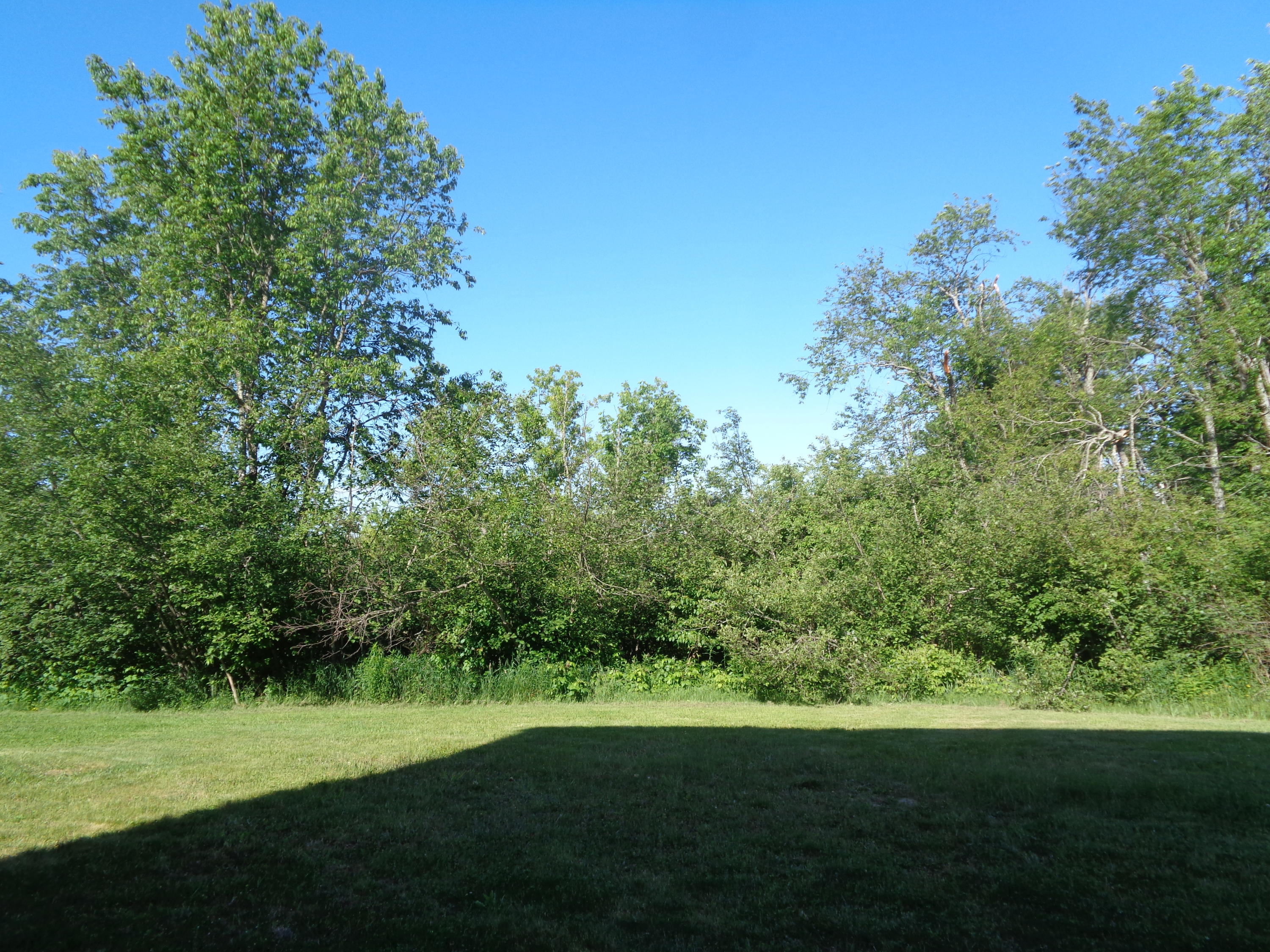 252 Bemis Road Carmel, ME 04419 - Photo 26 of 30 DSC03181