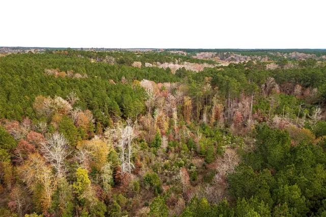 a view of lake and mountain
